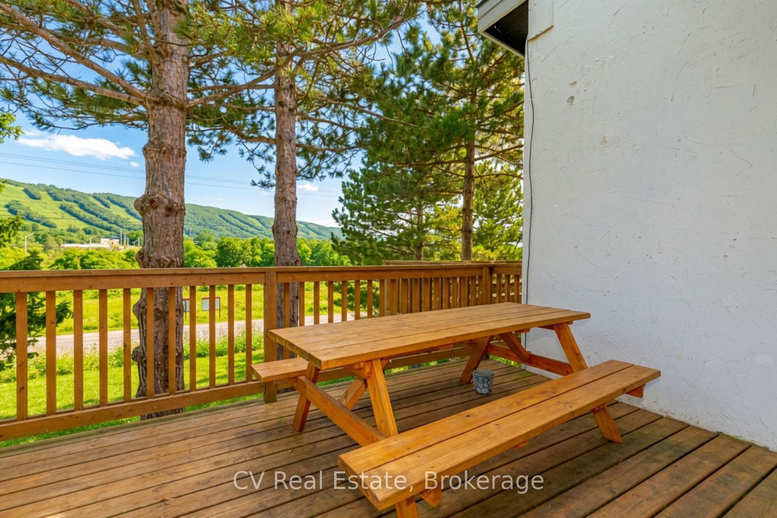141 Kandahar Lane, Blue Mountains, ON L9Y 0N3 photo 2