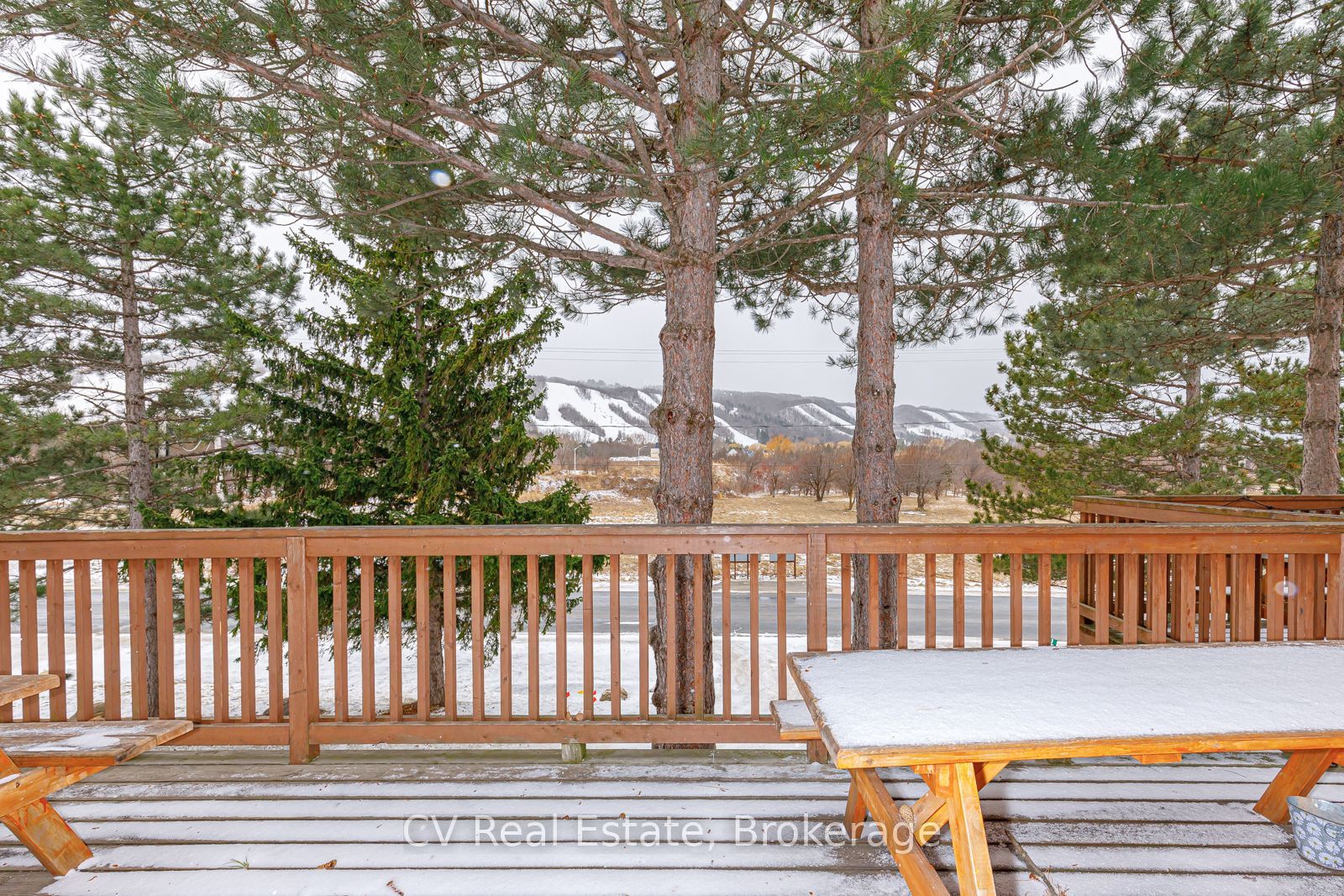 141 Kandahar Lane, Blue Mountains, ON L9Y 0N3 photo 5