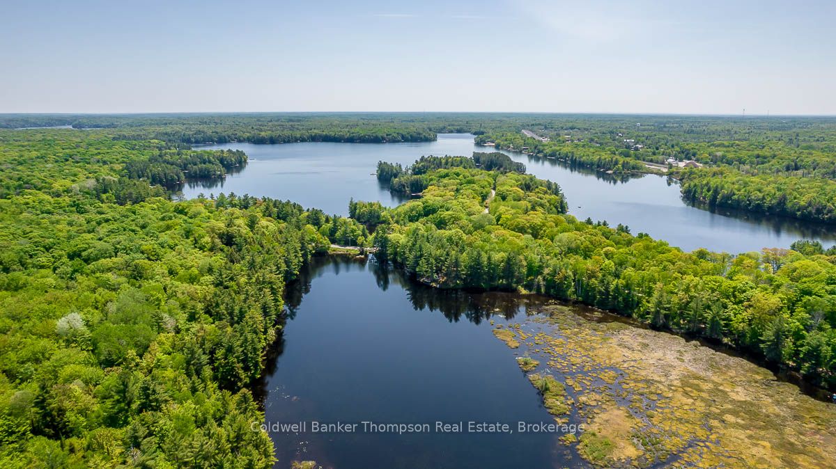 29 BEAR LAKE Road, Georgian Bay, ON P0C 1H0 photo 2