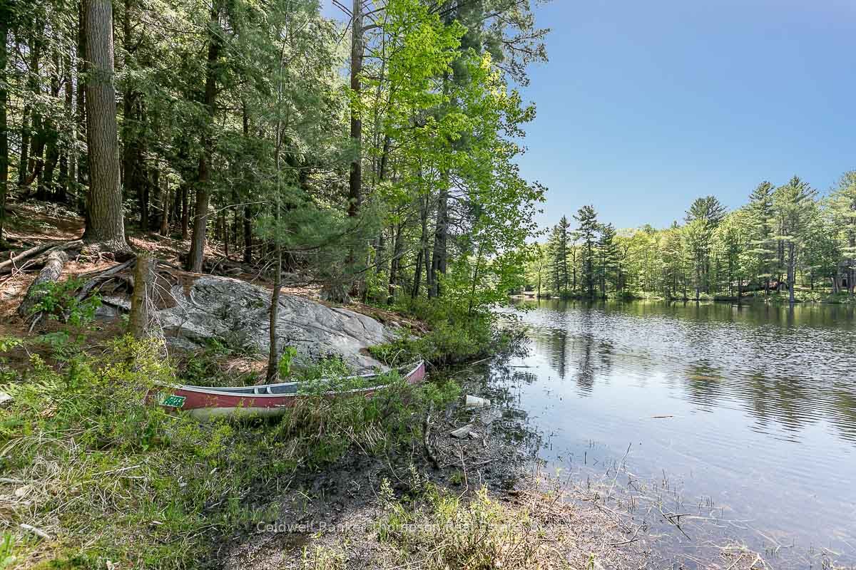 29 BEAR LAKE Road, Georgian Bay, ON P0C 1H0 photo 3