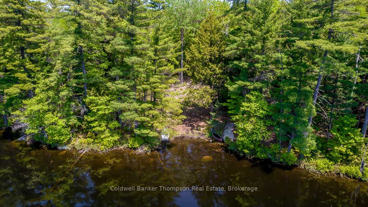29 BEAR LAKE Road, Georgian Bay, ON P0C 1H0 photo 4