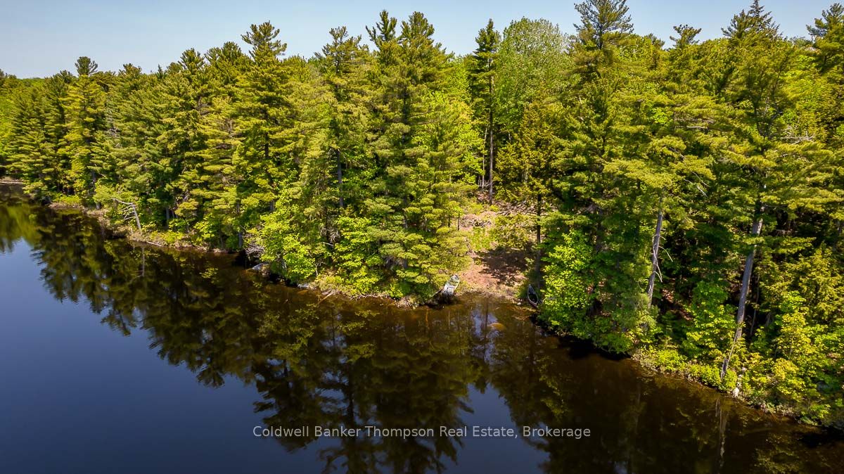 29 BEAR LAKE Road, Georgian Bay, ON P0C 1H0 photo 5