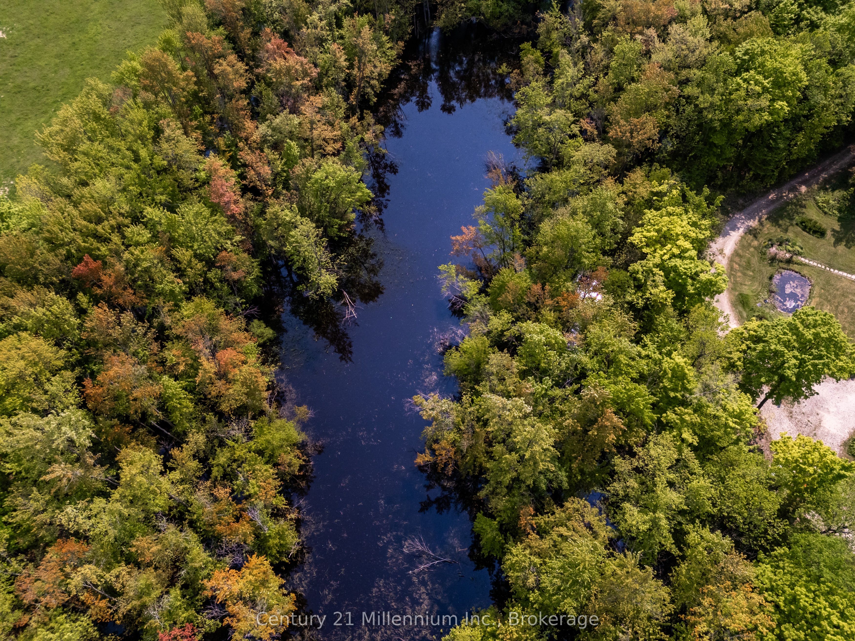 215319 Concession 4 N/A, Chatsworth, ON N0H 2V0 photo 5