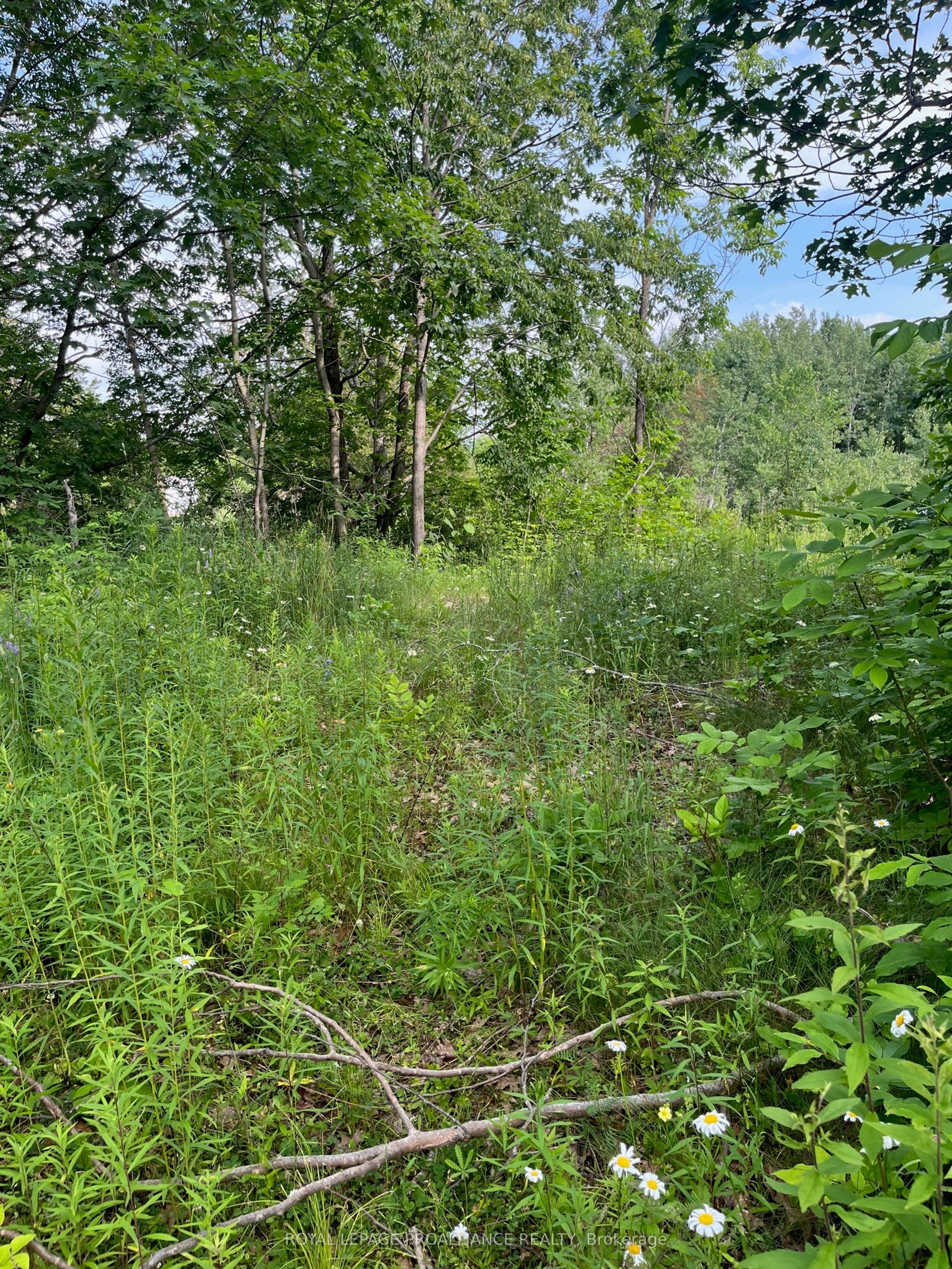 0 Pt Lt 14 Con 3, Rideau Lakes, ON K0G 1X0 photo 2