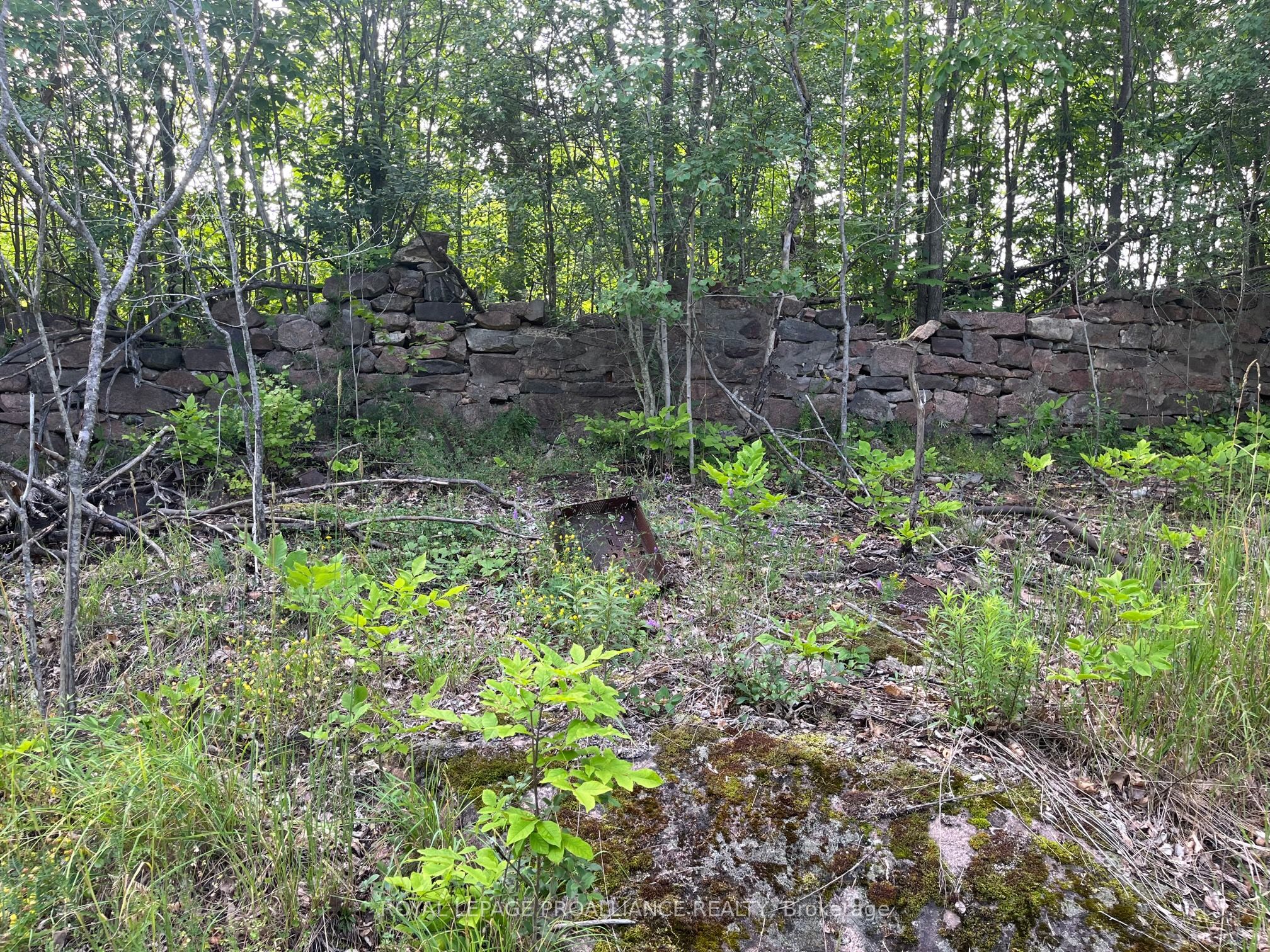0 Pt Lt 14 Con 3, Rideau Lakes, ON K0G 1X0 photo 4