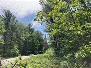 338 Glen Allen Road S, Marmora and Lake, ON K0K 2M0 photo 5