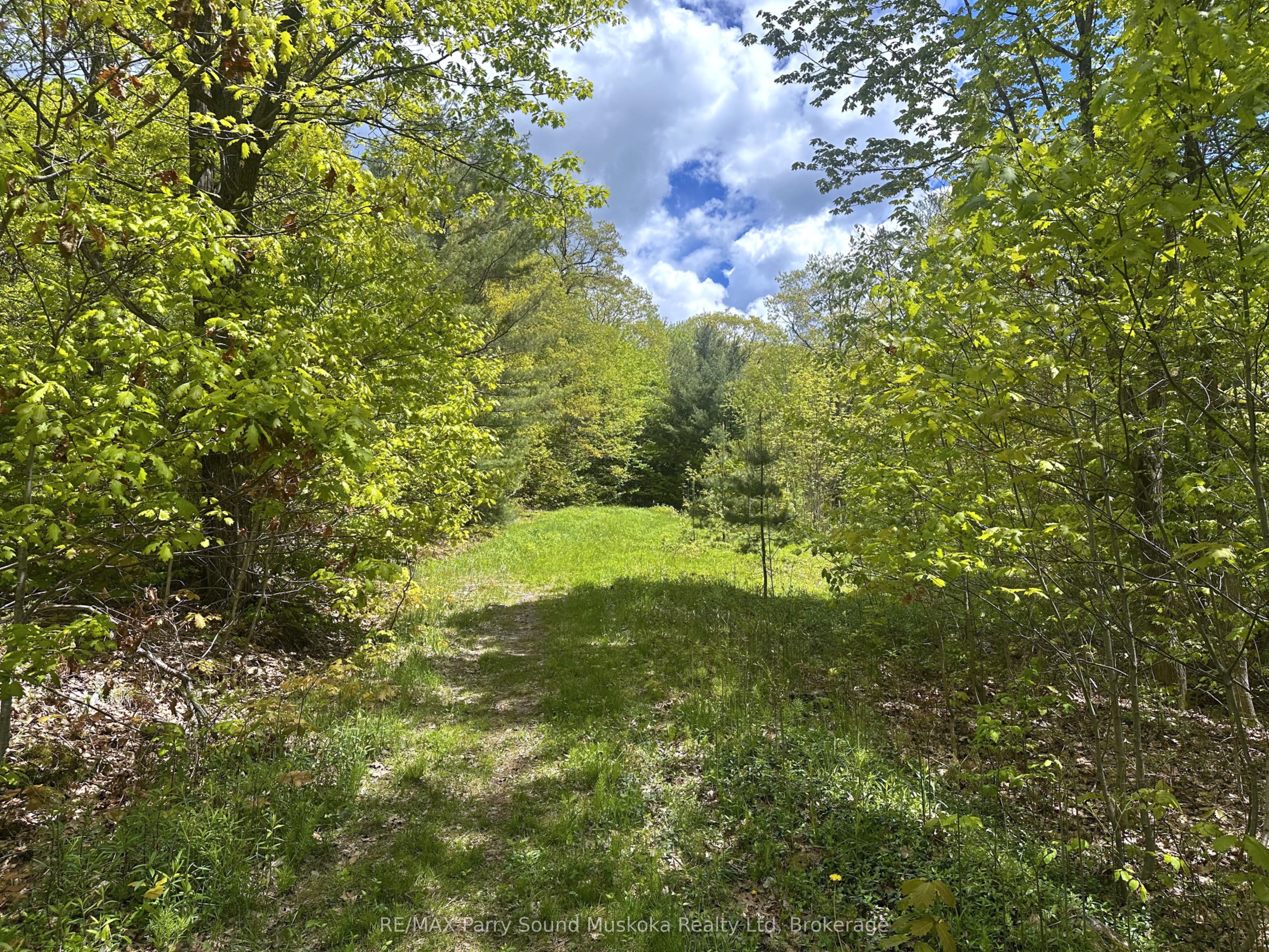 22A Lock Street, Seguin, ON P0C 1J0 photo 4