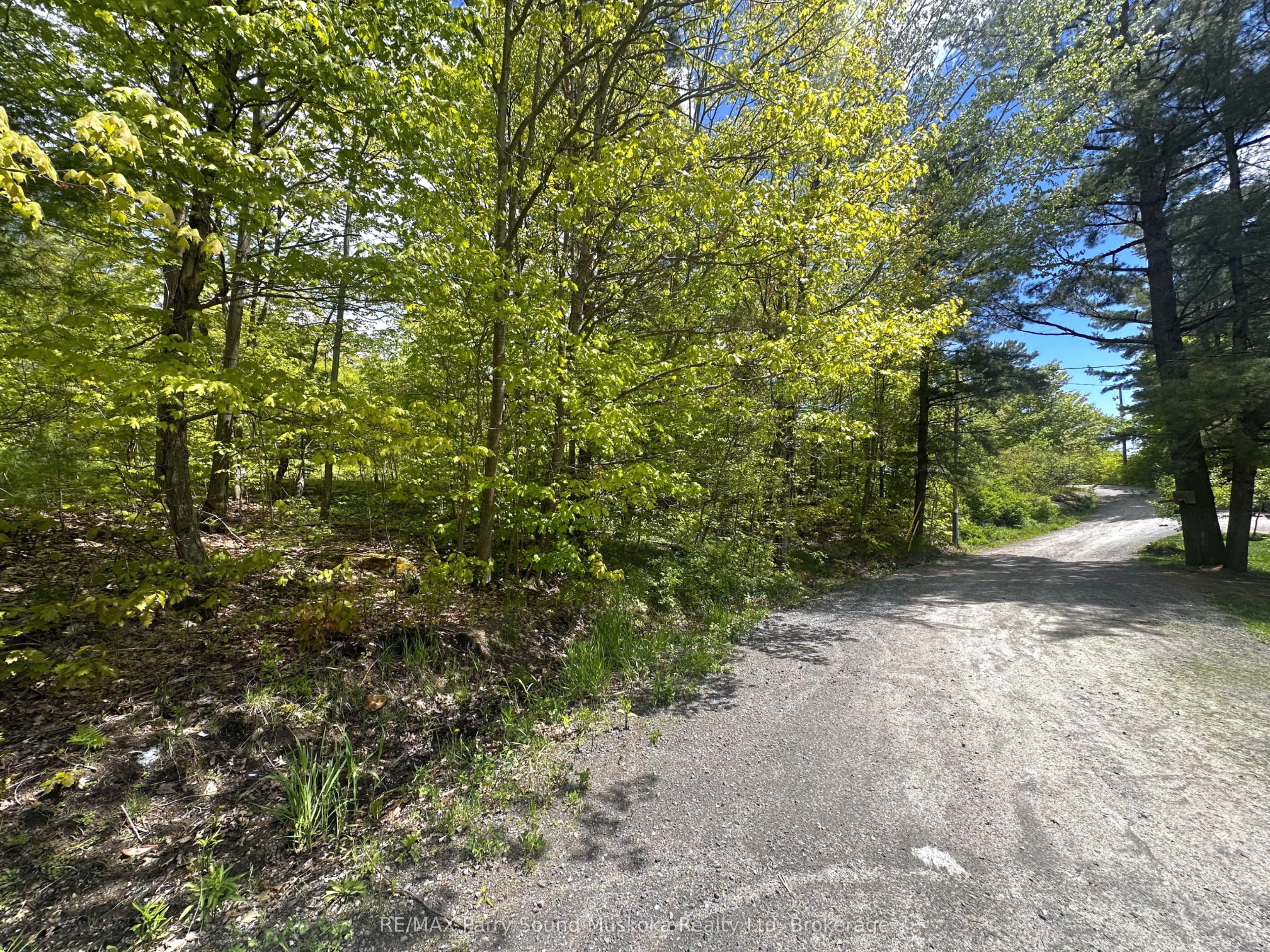 22A Lock Street, Seguin, ON P0C 1J0 photo 5