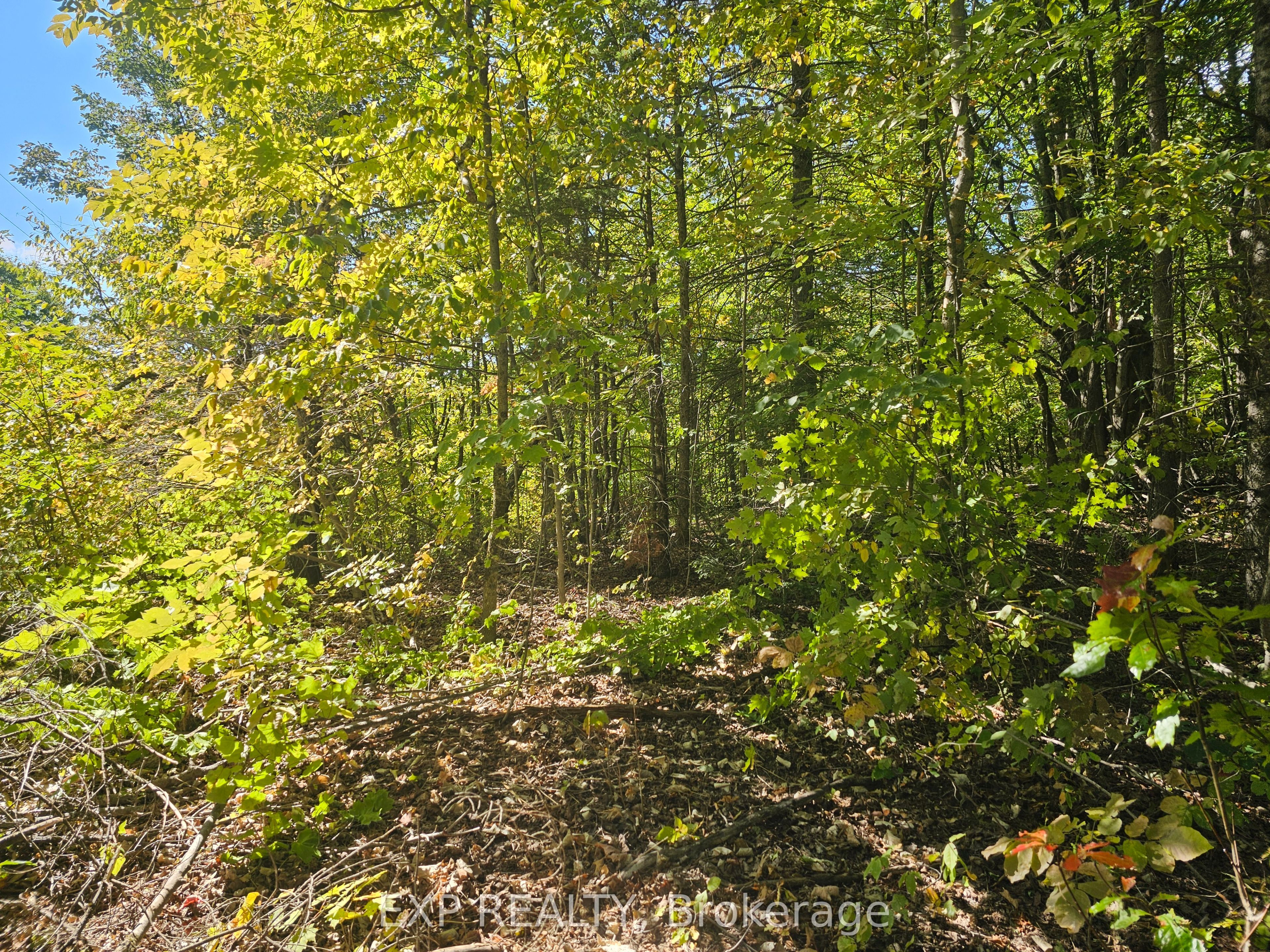 Part Lot 32 and 33 Part 2 Conc 1 Concession, Minden Hills, ON K0M 1X0 photo 2