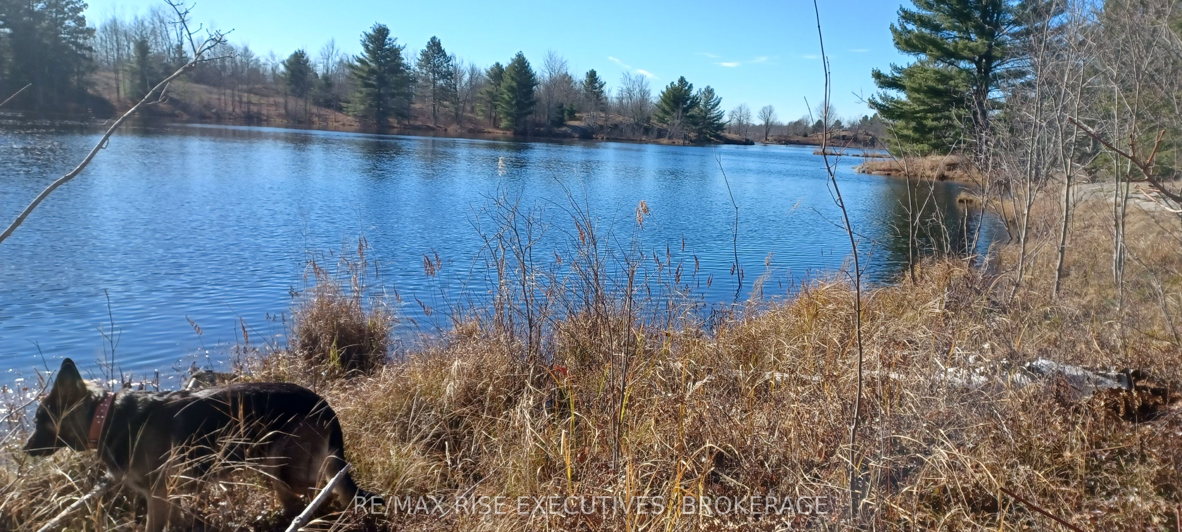 KALADAR CON 9 LT 21, Addington Highlands, ON K0H 2G0 photo 2