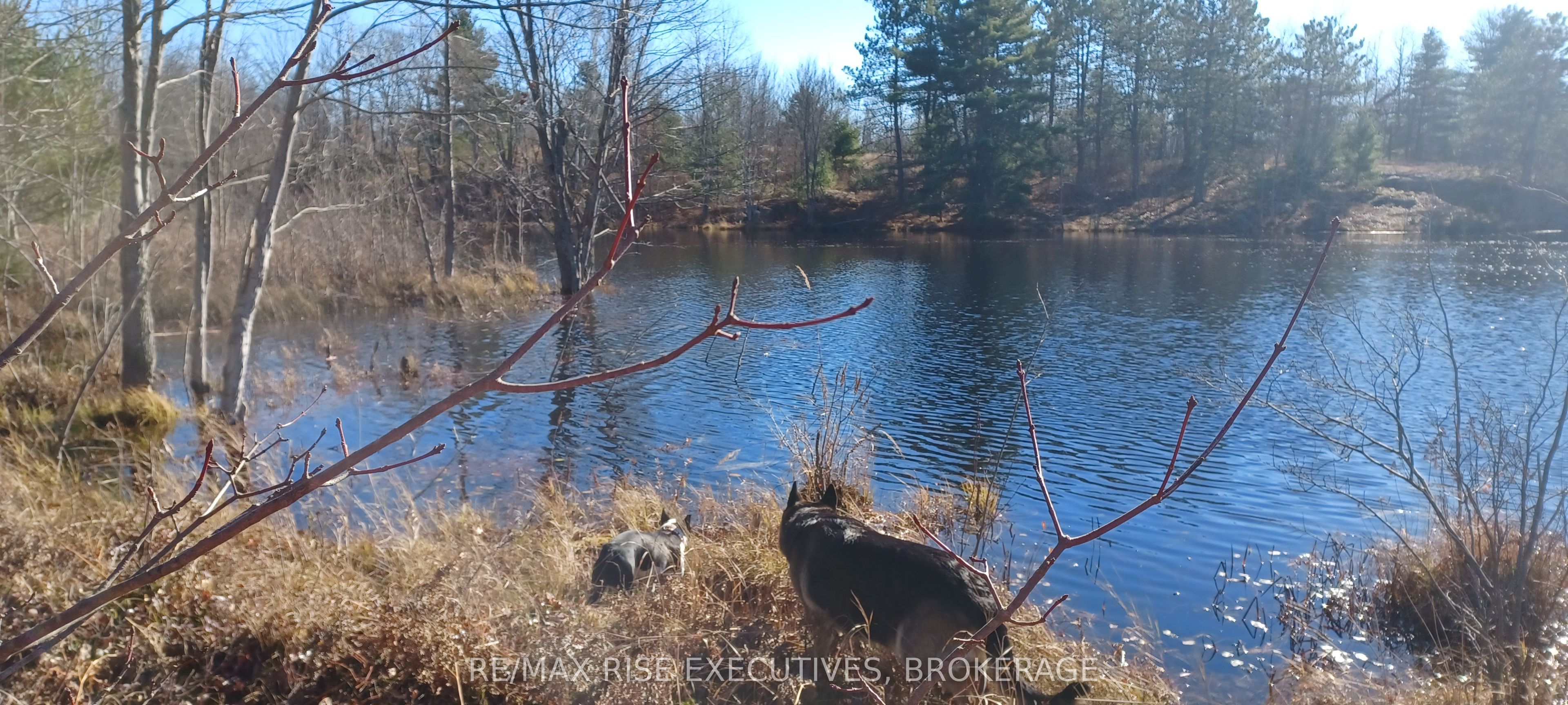 KALADAR CON 9 LT 21, Addington Highlands, ON K0H 2G0 photo 3