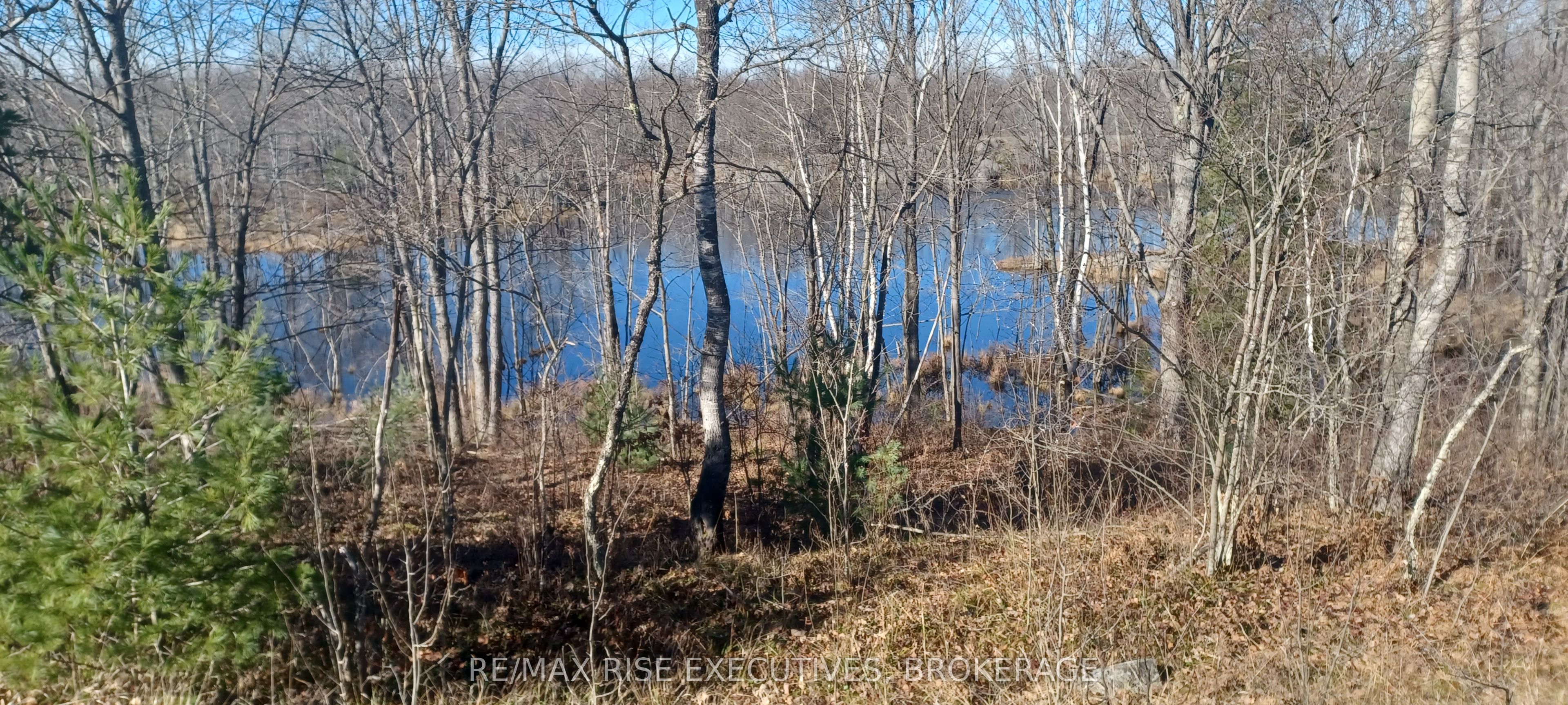 KALADAR CON 9 LT 21, Addington Highlands, ON K0H 2G0 photo 4