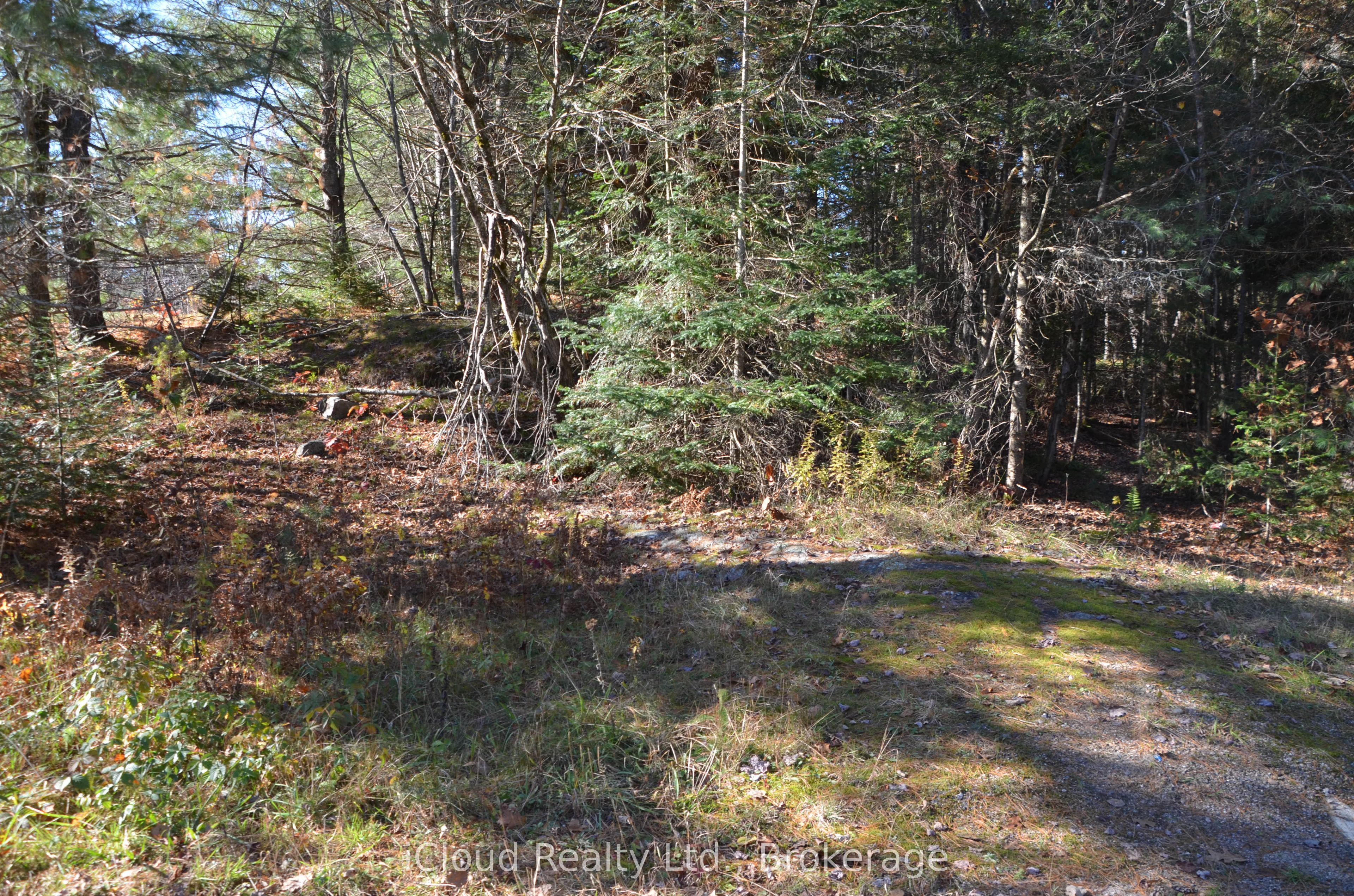 2 Parker Bay Road, Whitestone, ON P0A 1G0 photo 2