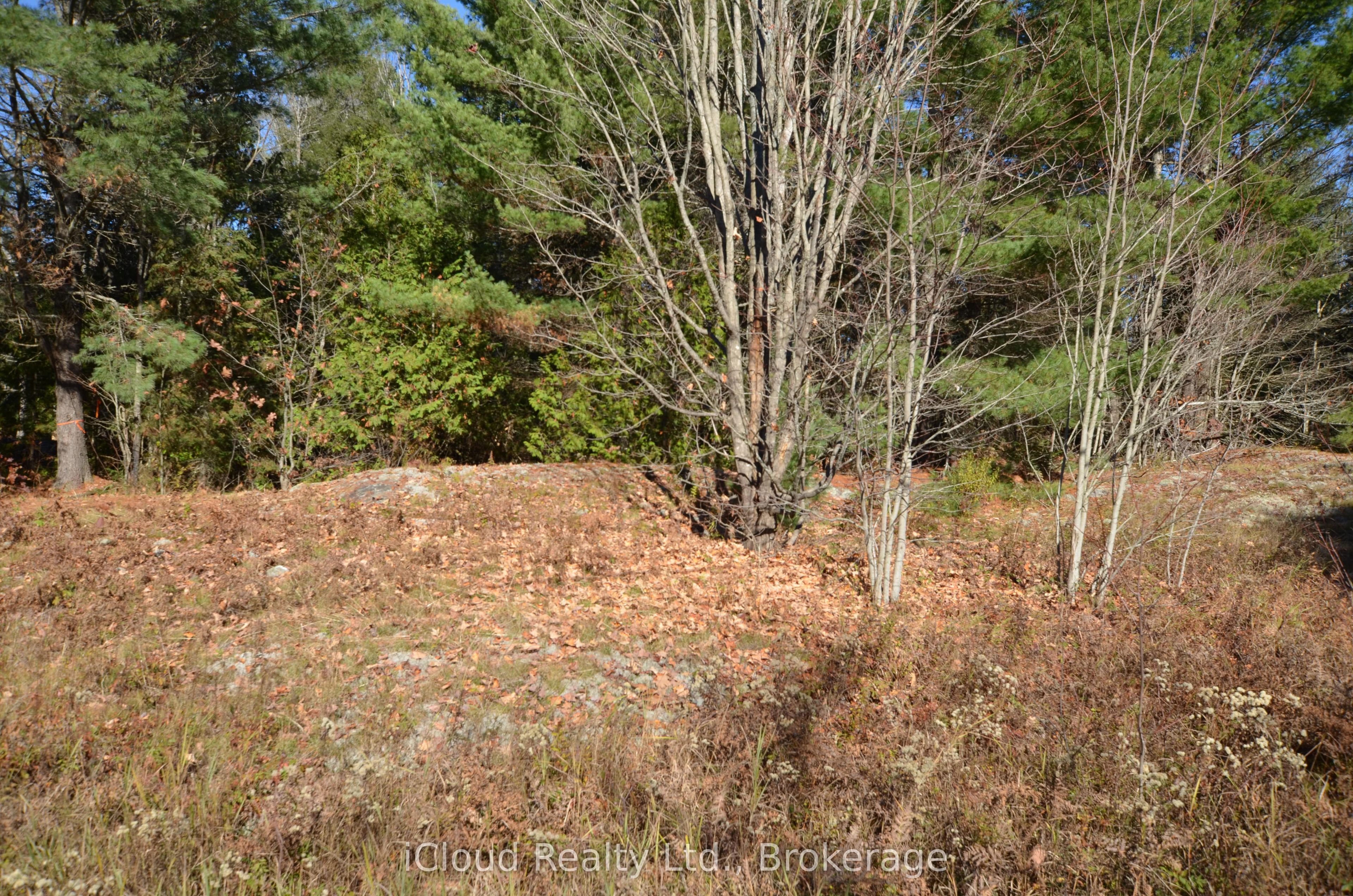 2 Parker Bay Road, Whitestone, ON P0A 1G0 photo 5
