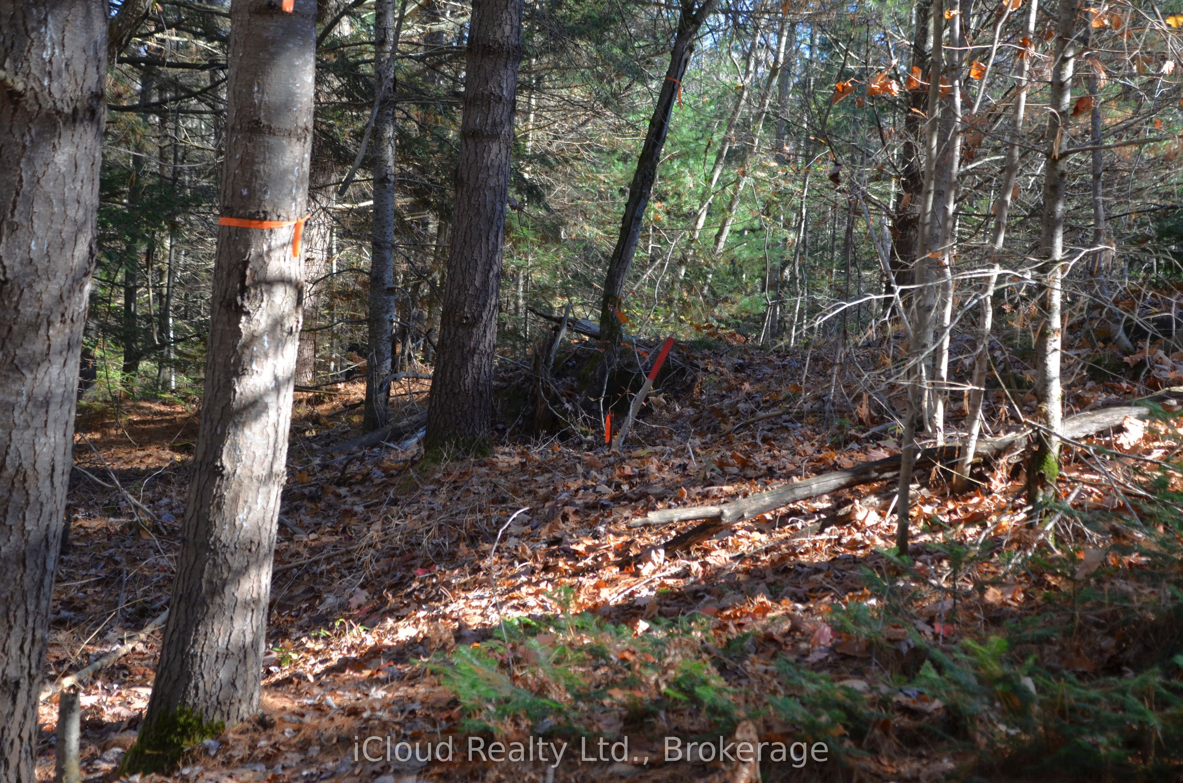 3 Parker Bay Road, Whitestone, ON P0G 1G0 photo 3