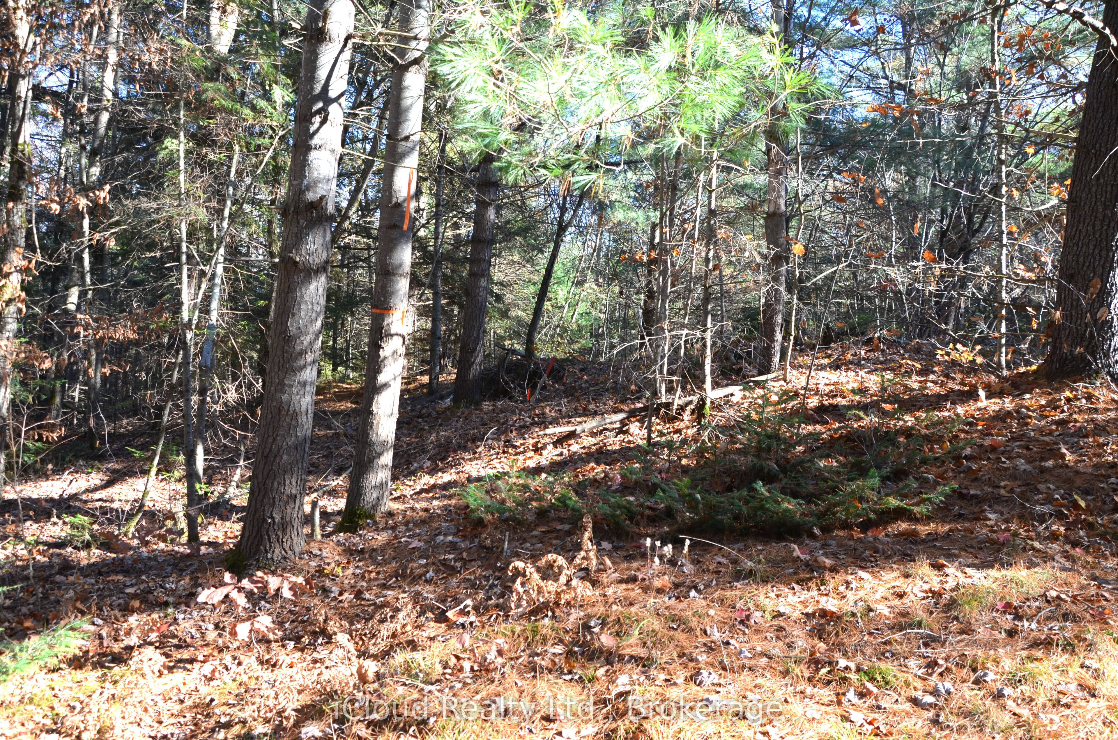 2 and 3 Parker Bay Road, Whitestone, ON P0G 1G0