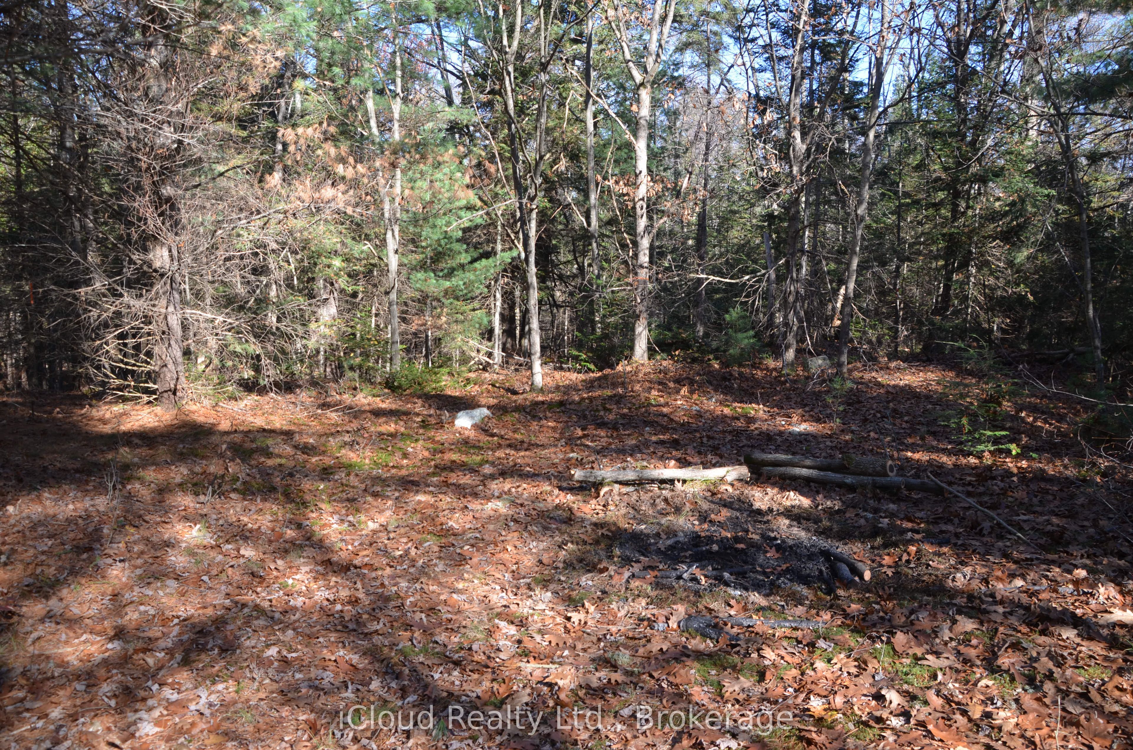 2 and 3 Parker Bay Road, Whitestone, ON P0G 1G0 photo 4