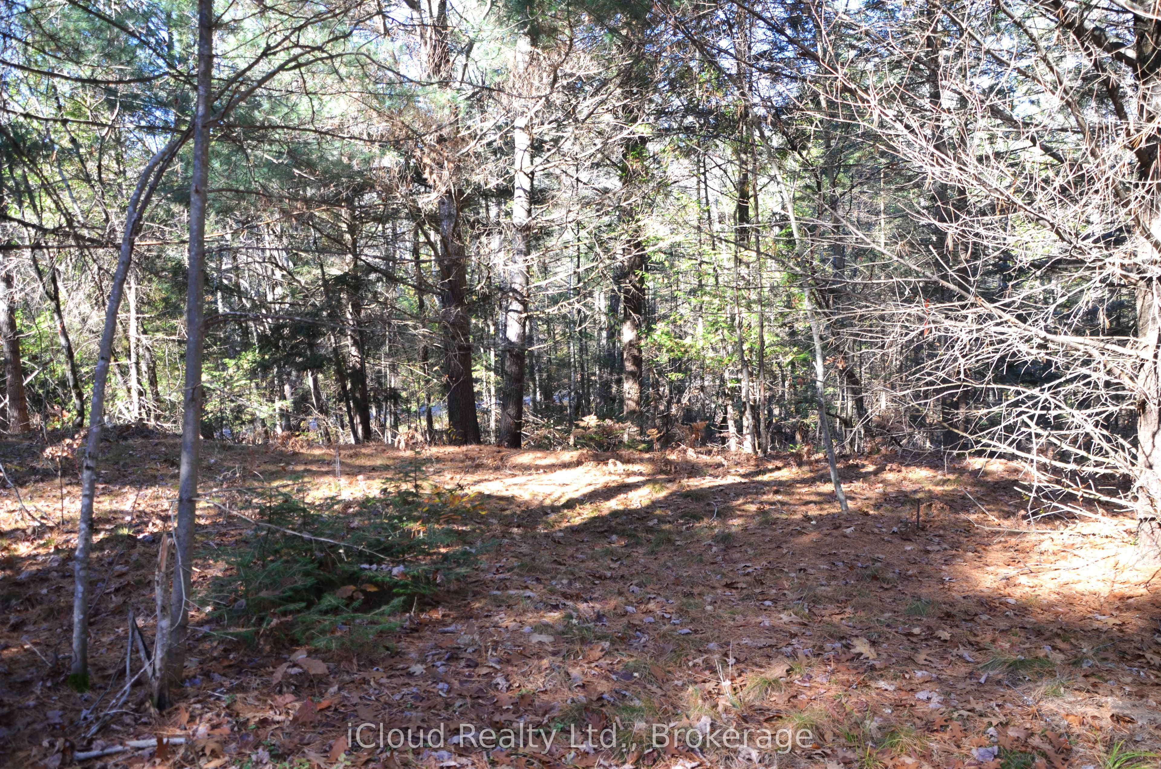 2 and 3 Parker Bay Road, Whitestone, ON P0G 1G0 photo 5