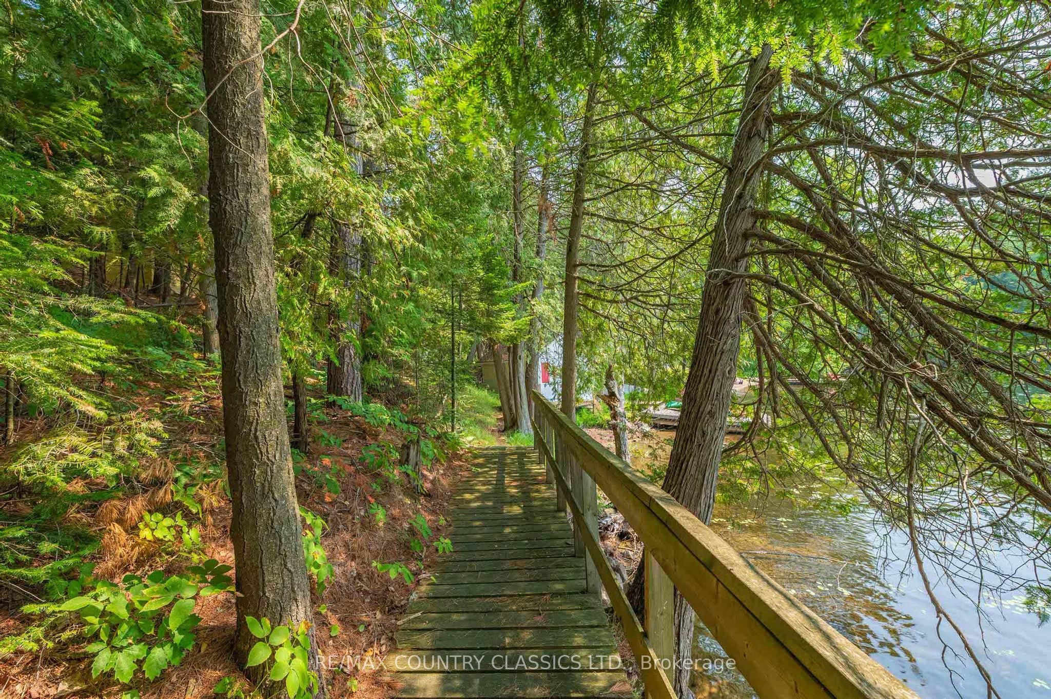 118 QUAIL Lane, North Kawartha, ON K0L 1A0 photo 4