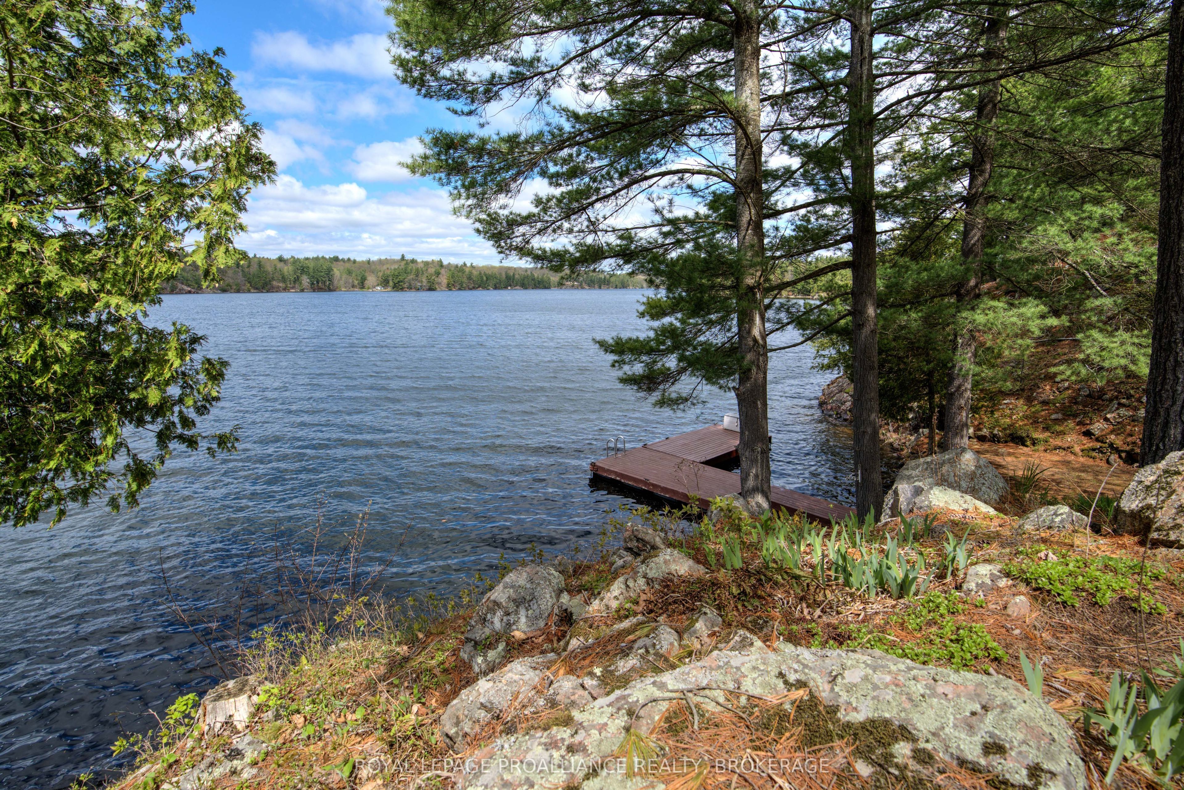 1133 Sassy Tree Lane, Frontenac, ON K0H 1W0 photo 5
