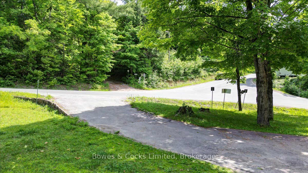 49 McFadden Road, North Kawartha, ON K0L 1A0 photo 3