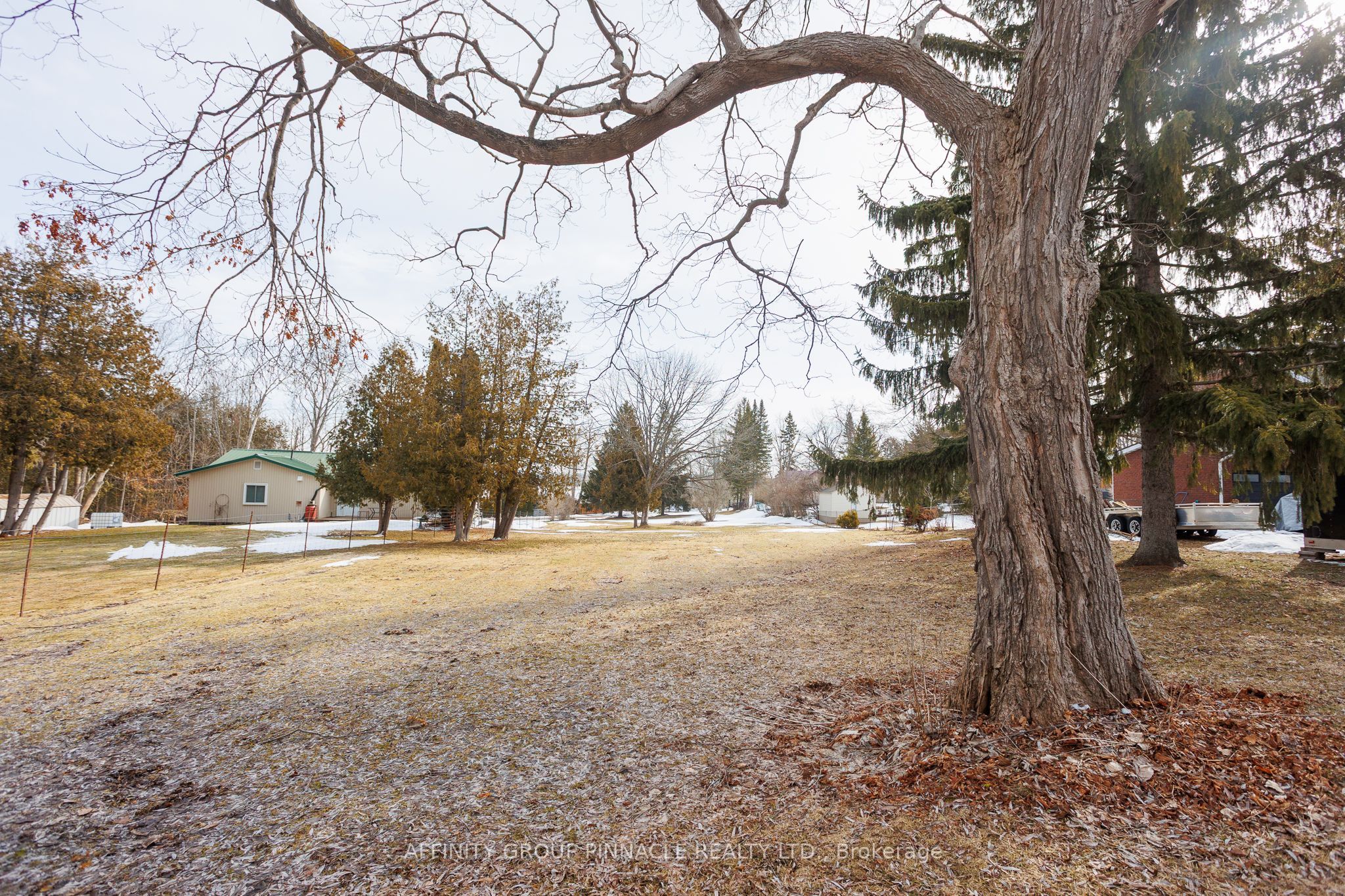 Lt 14 Butternut Drive, Kawartha Lakes, ON K9V 4R1 photo 5