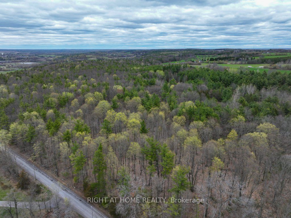 262 Golf Course Road W, Quinte West, ON K0K 3E0 photo 4