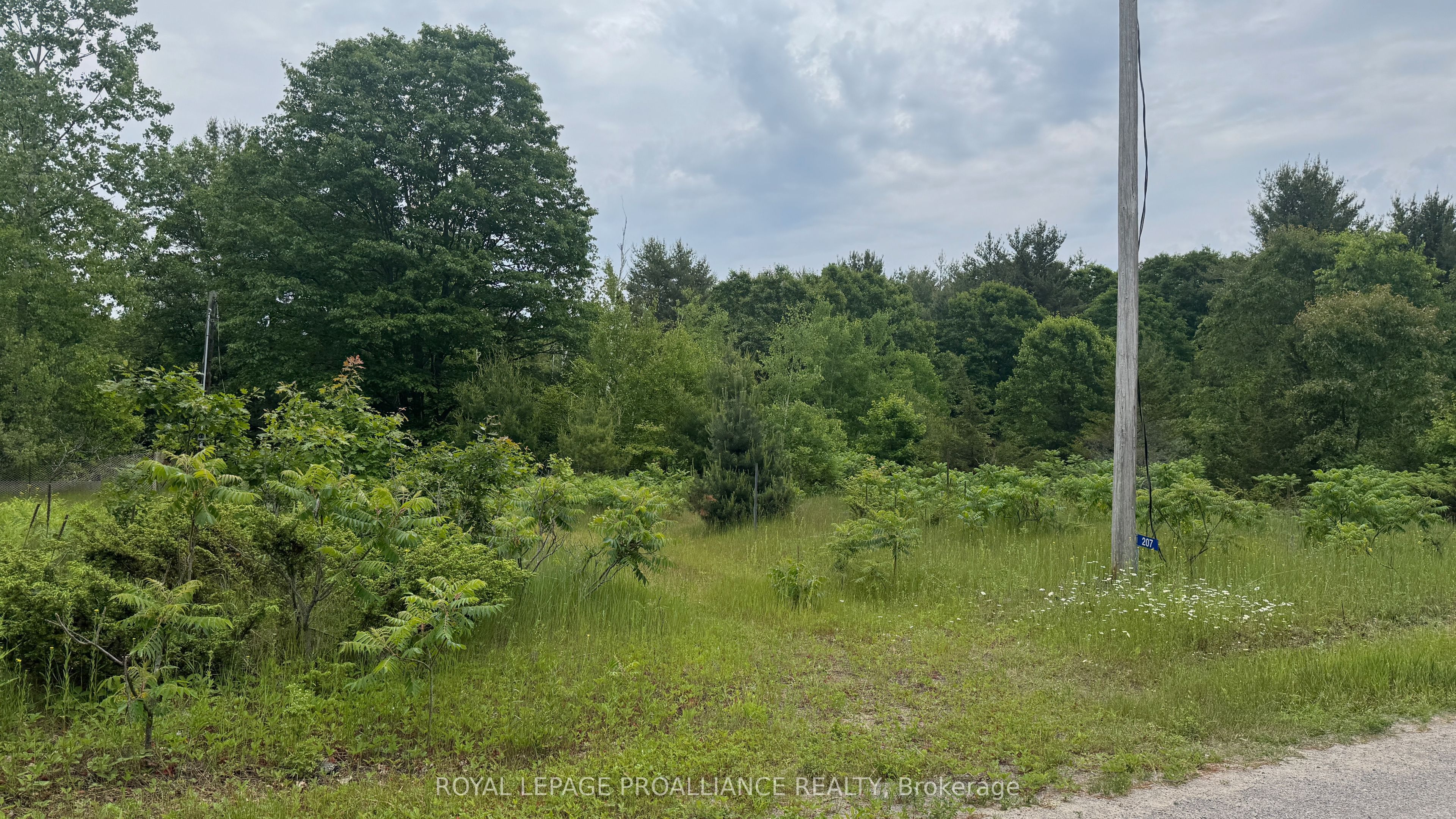 207 Middle Ridge Road, Brighton, ON K0K 1H0 photo 5