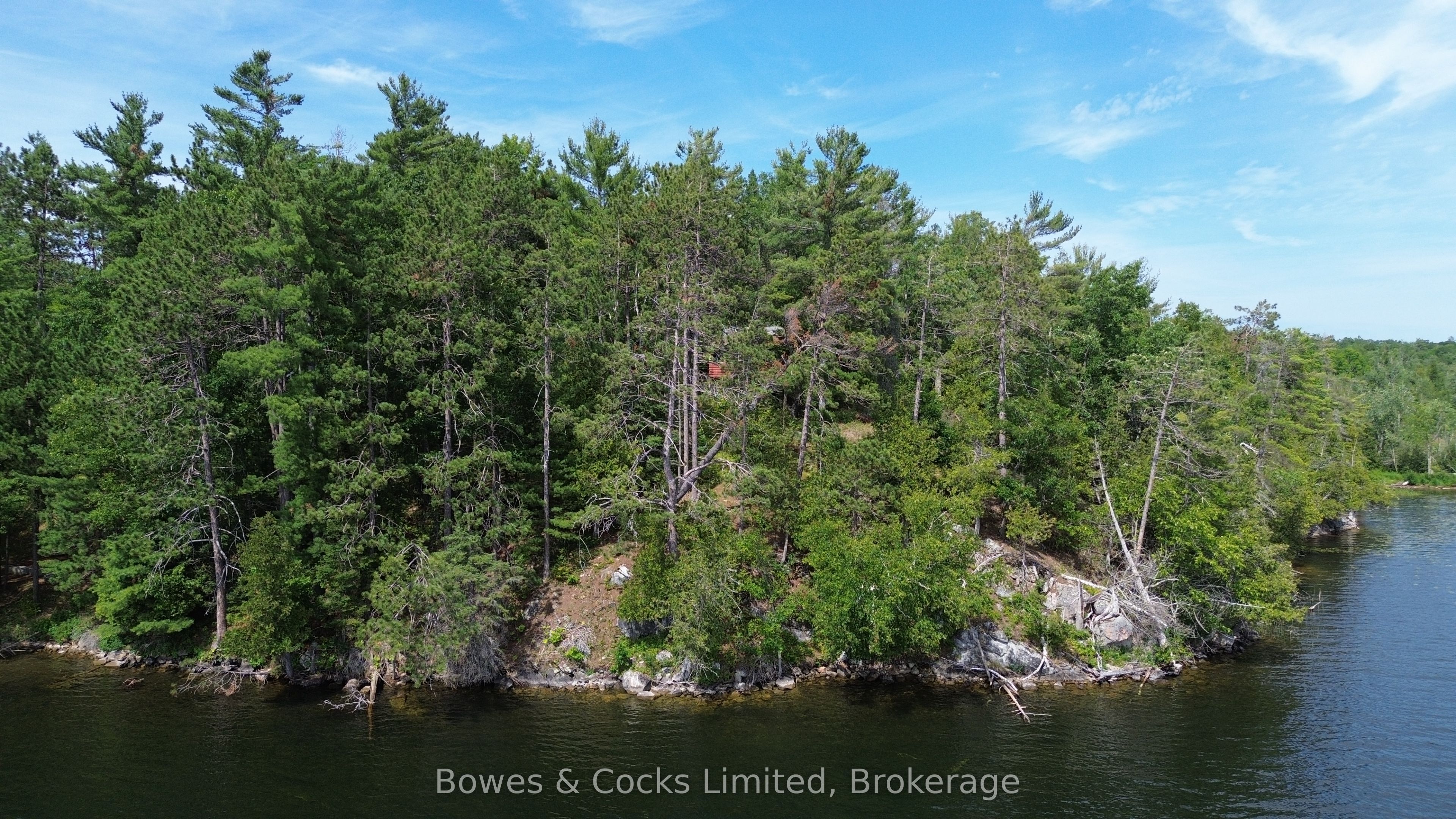 10 Fire Route 46, North Kawartha, ON K0L 2H0 photo 5