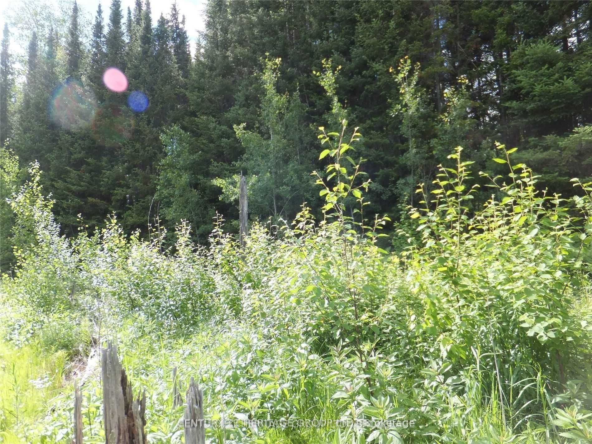 2080 Glamor Lake Road, Highlands East, ON K0M 1R0