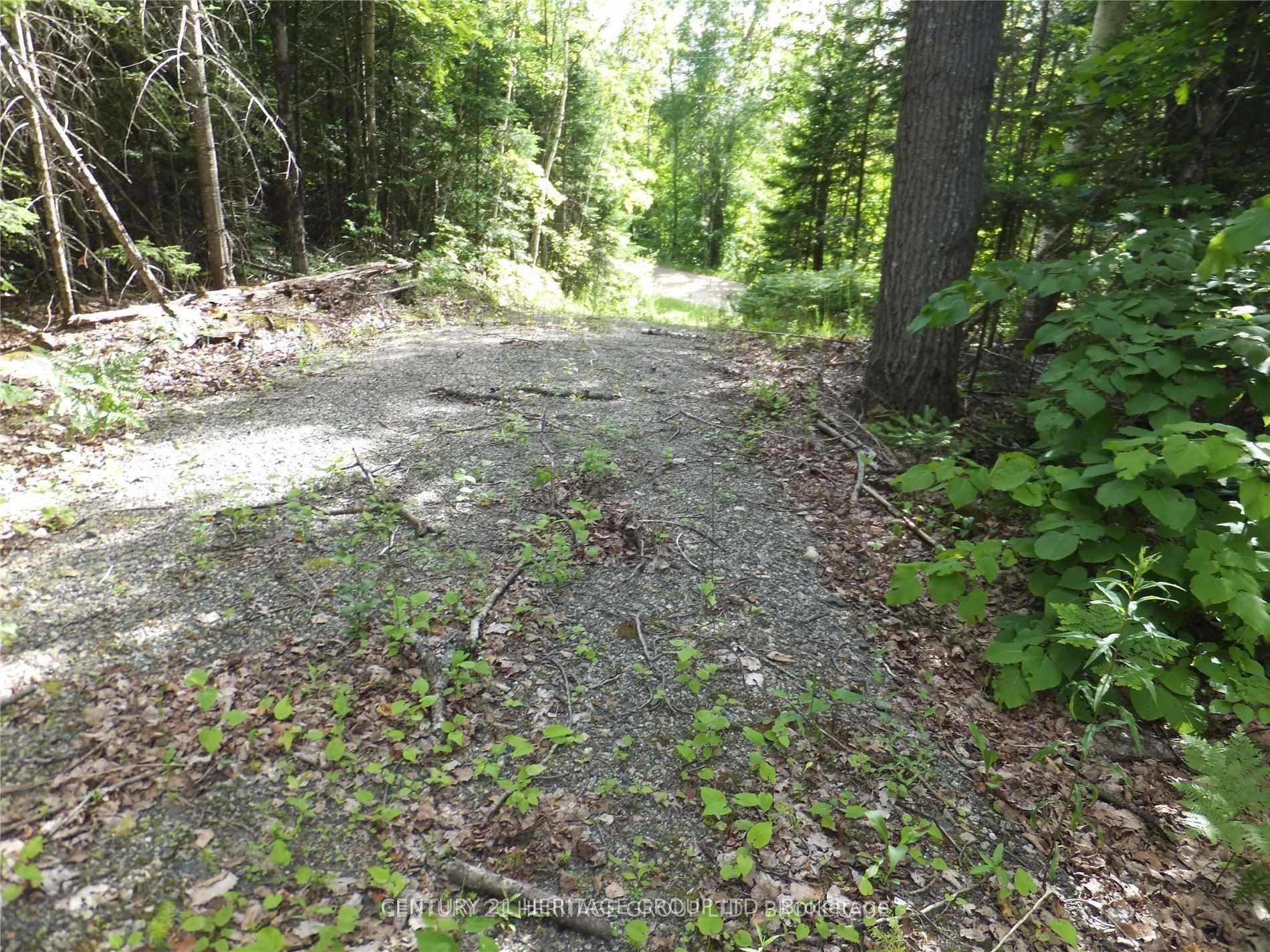 2080 Glamor Lake Road, Highlands East, ON K0M 1R0 photo 2
