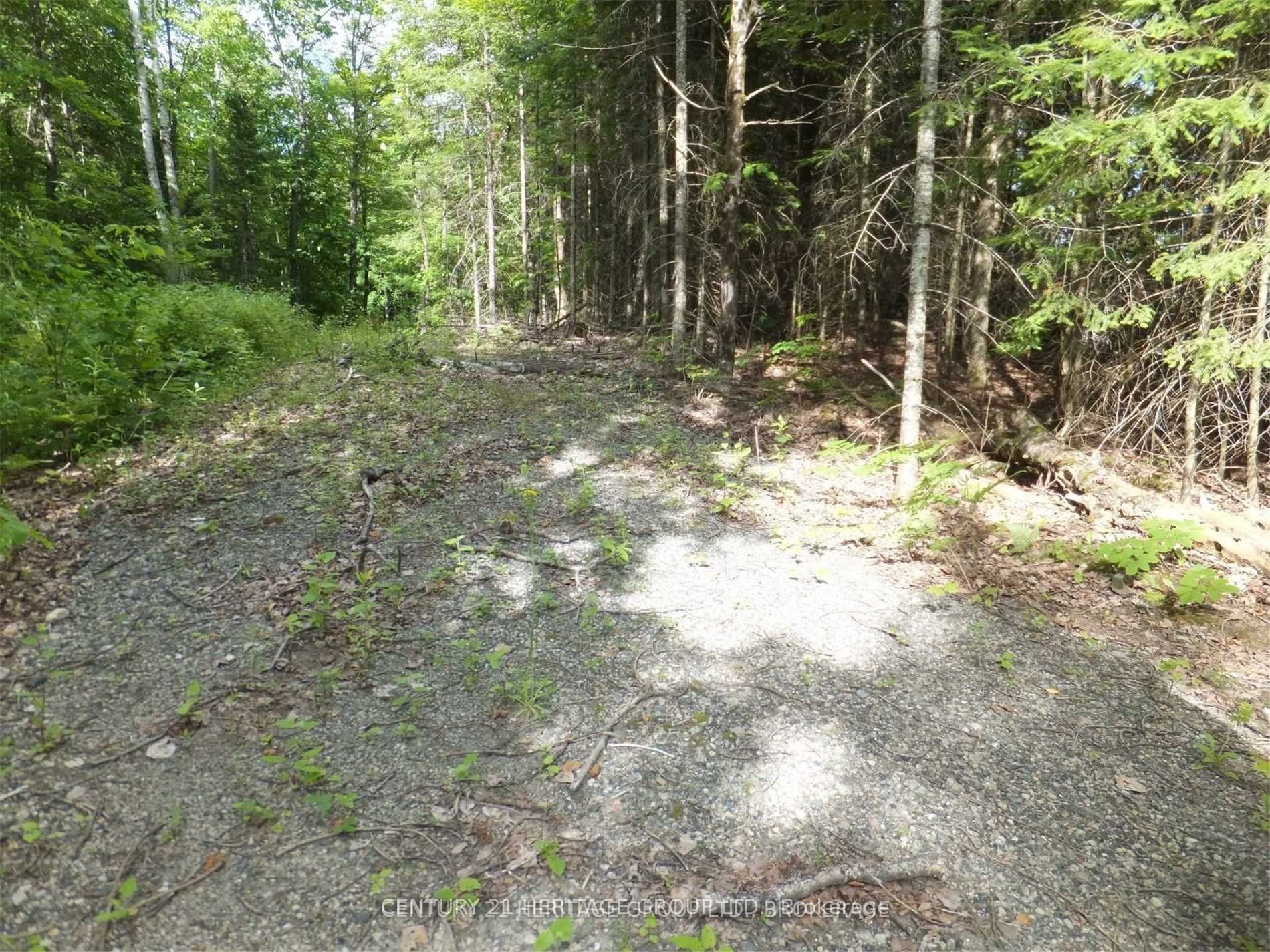 2080 Glamor Lake Road, Highlands East, ON K0M 1R0 photo 4
