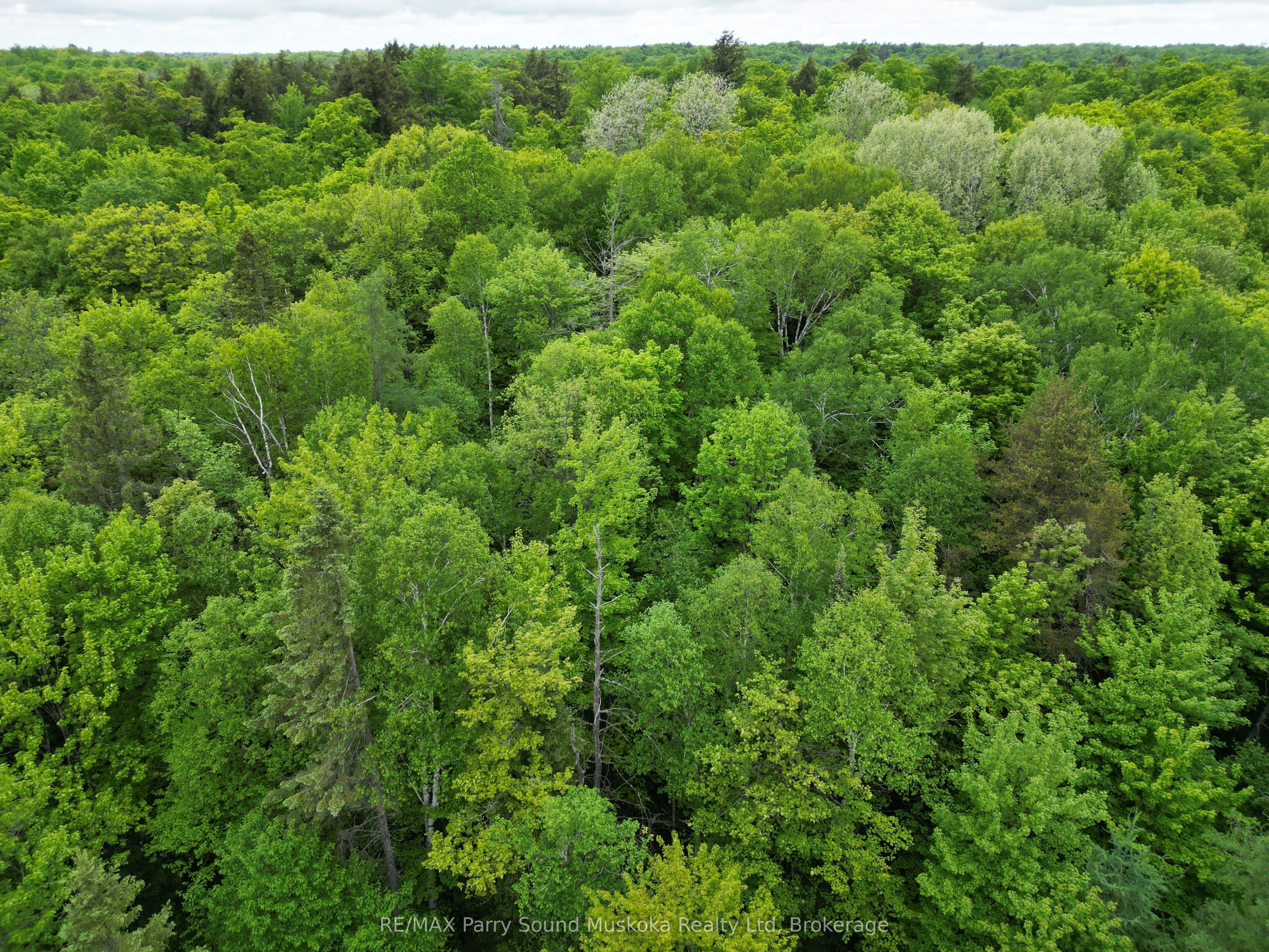 1-22342 East Road, Parry Sound Remote Area, ON P0H 1S0 photo 3