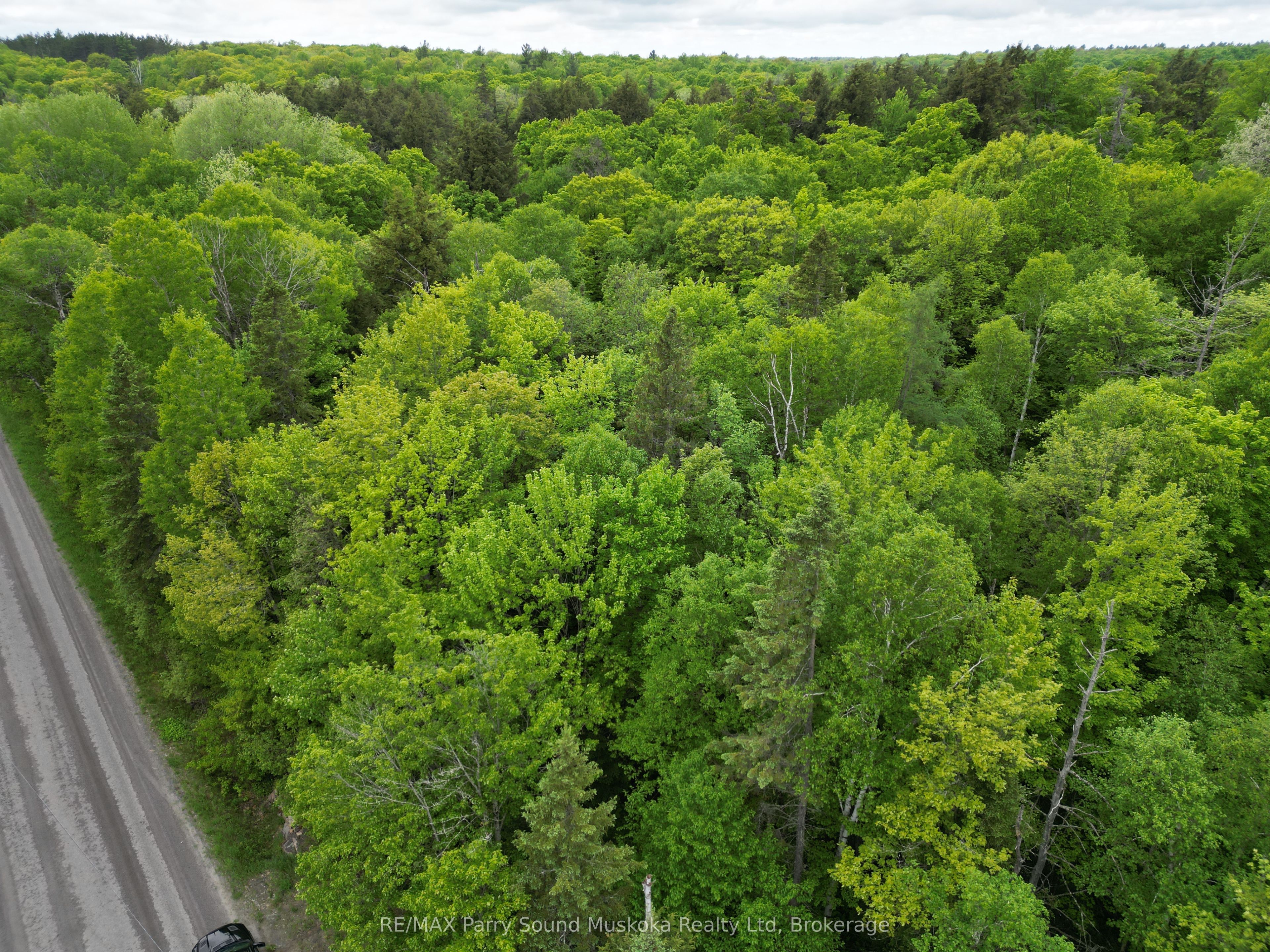 1-22342 East Road, Parry Sound Remote Area, ON P0H 1S0 photo 4