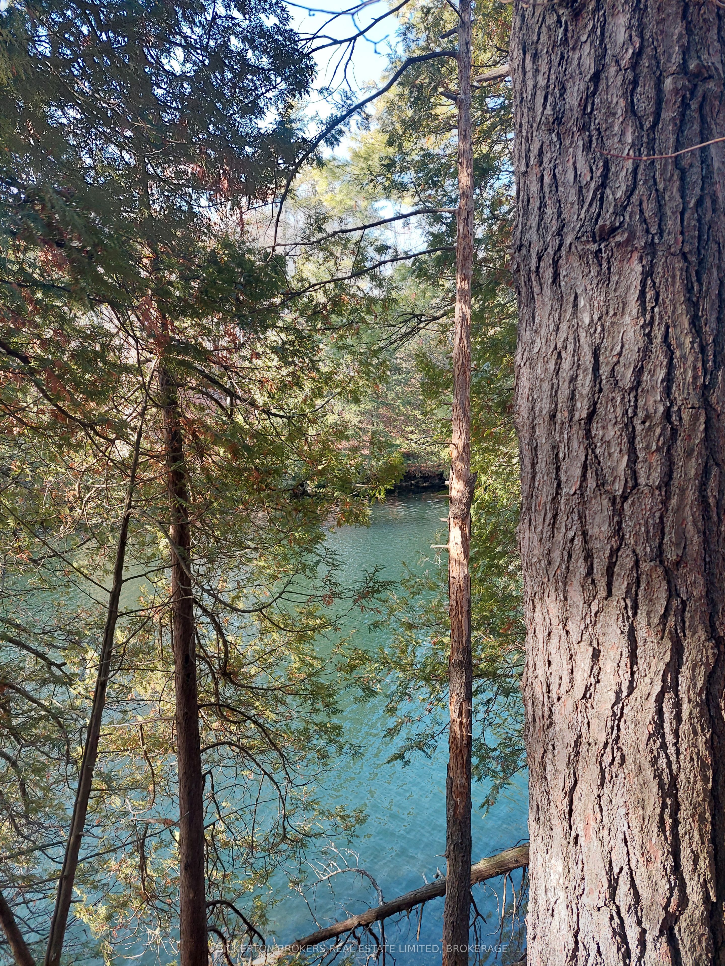 0 Murphy's Island, Leeds and the Thousand Islands, ON K0H 2N0 photo 3