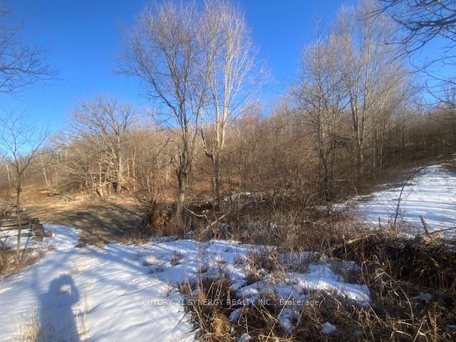 00 Lot 2 County10 Road, Rideau Lakes, ON K0G 1X0 photo 3