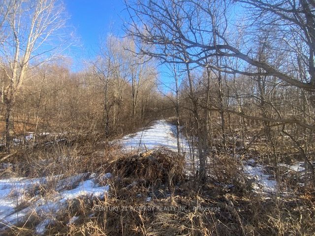 00 Lot 2 County10 Road, Rideau Lakes, ON K0G 1X0 photo 4