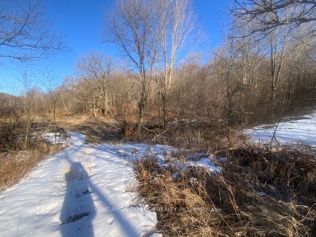 00 Lot 1 County Rd 10 Road, Rideau Lakes, ON K0G 1X0 photo 4