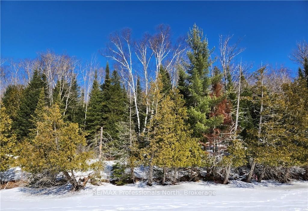 0 POVERTY BAY Trail, Minden Hills, ON K0M 2K0 photo 3