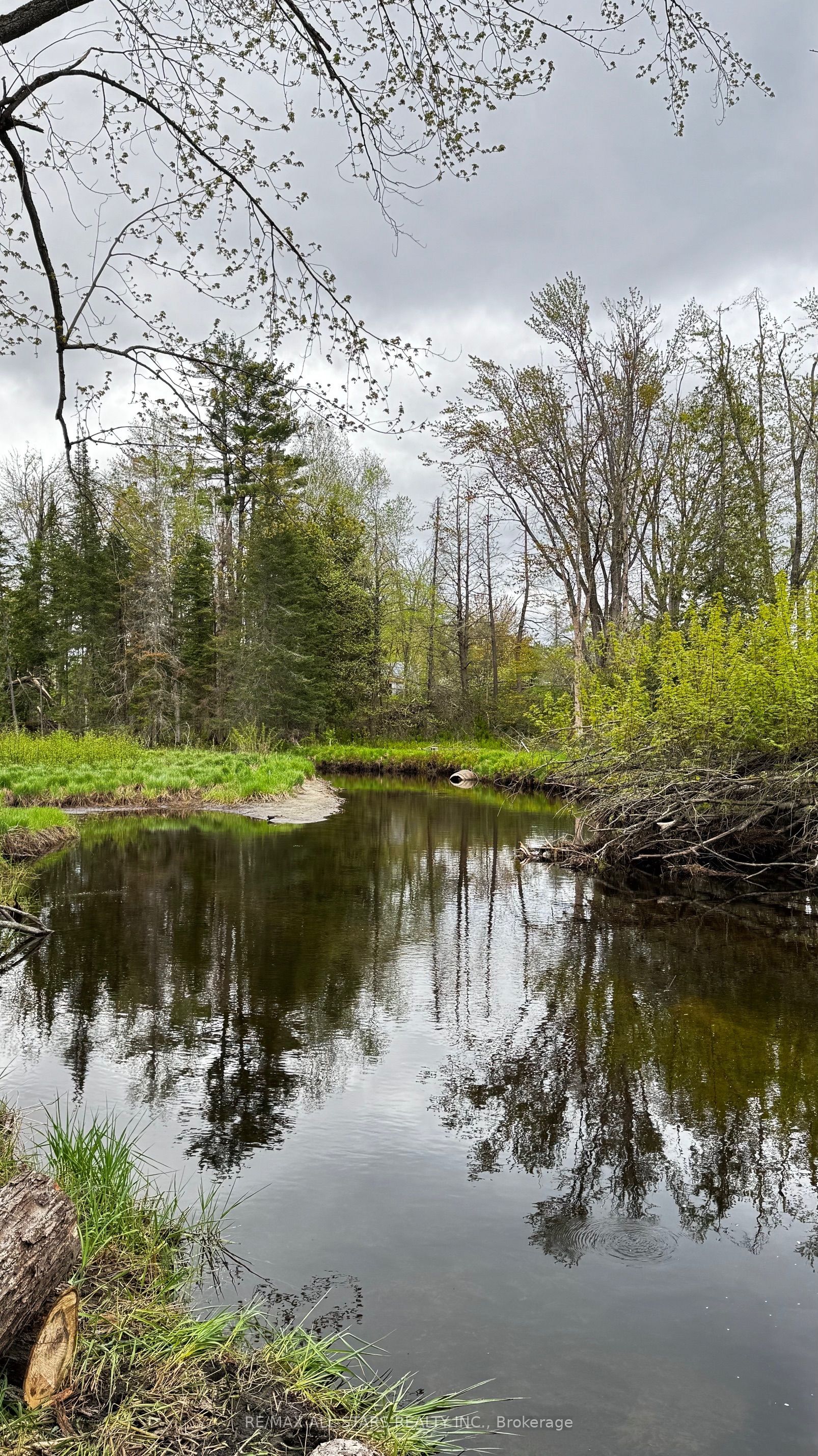 2348 Northey's Bay Road, North Kawartha, ON K0L 2H0