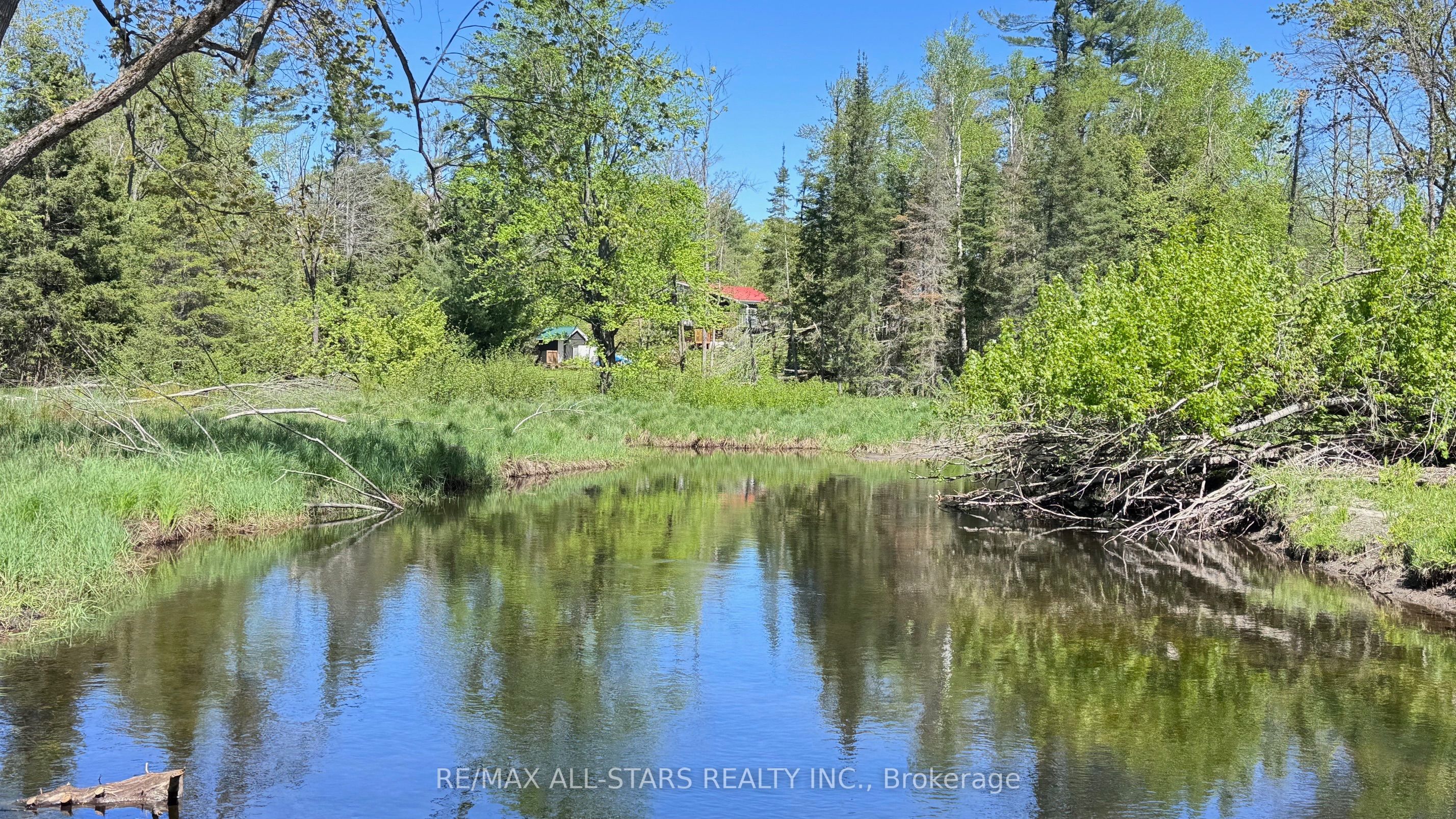 2348 Northey's Bay Road, North Kawartha, ON K0L 2H0 photo 3