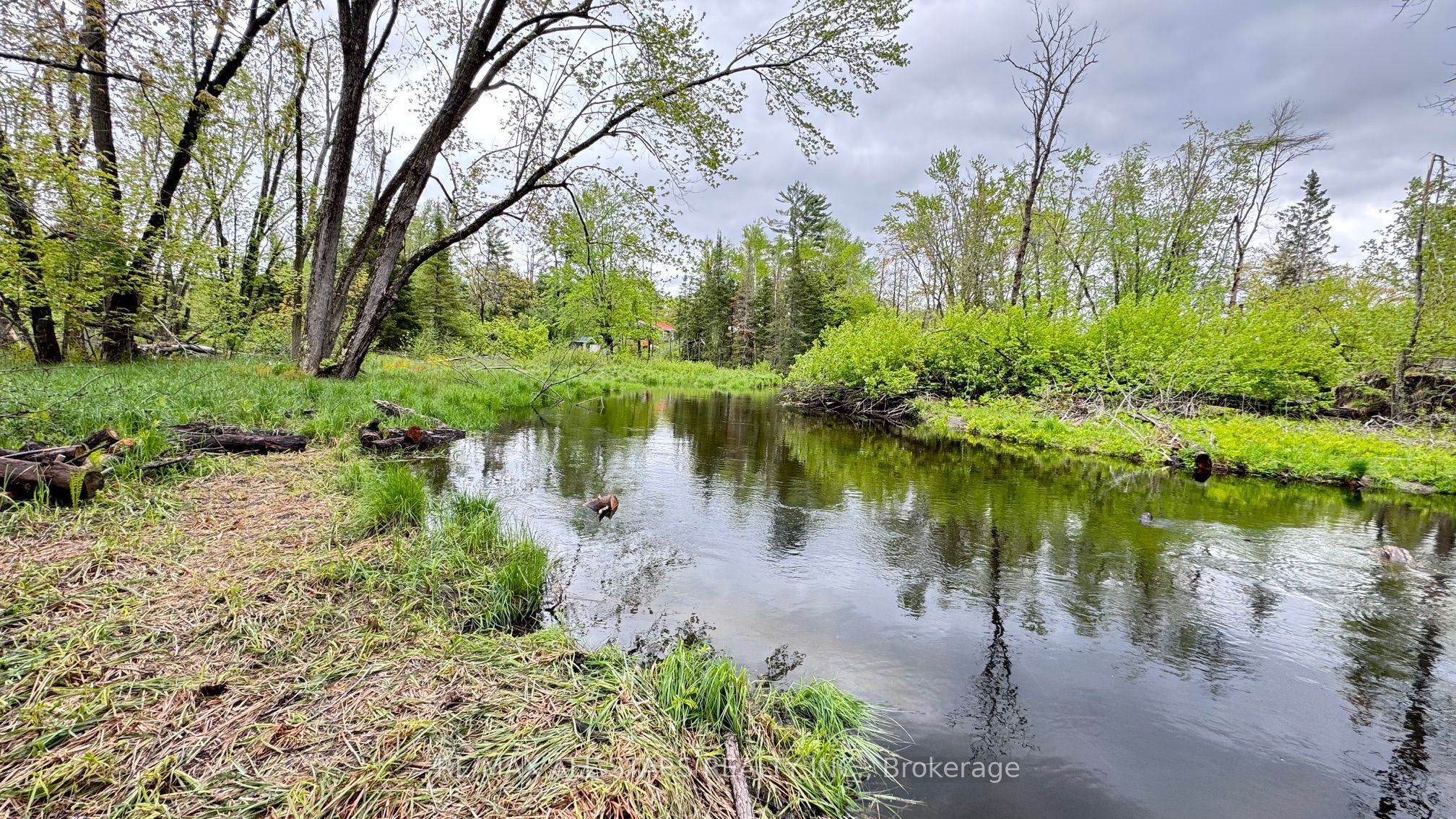 2348 Northey's Bay Road, North Kawartha, ON K0L 2H0 photo 4