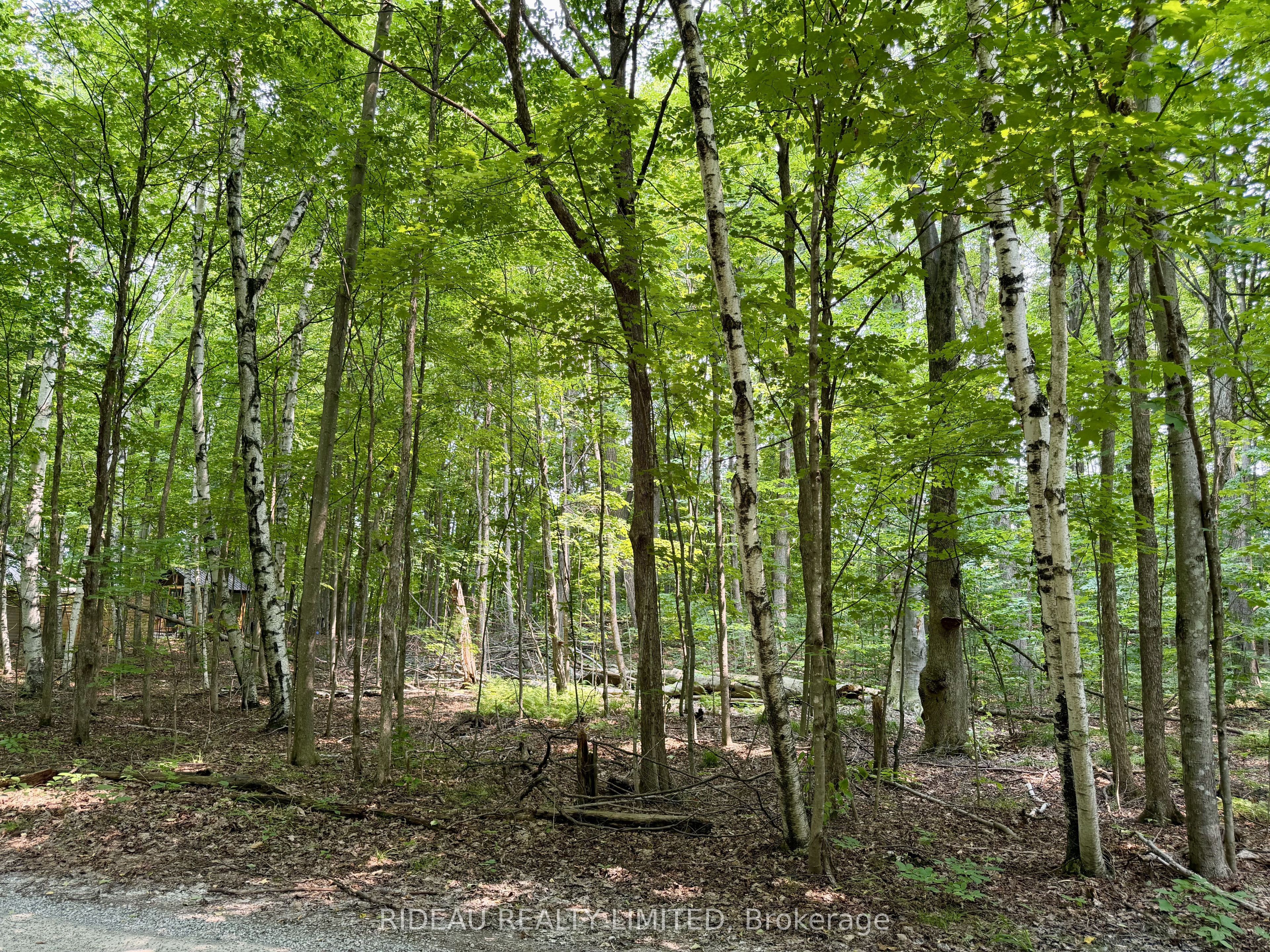 PT 38 Cedar Sands Road, Rideau Lakes, ON K0E 1N0 photo 4