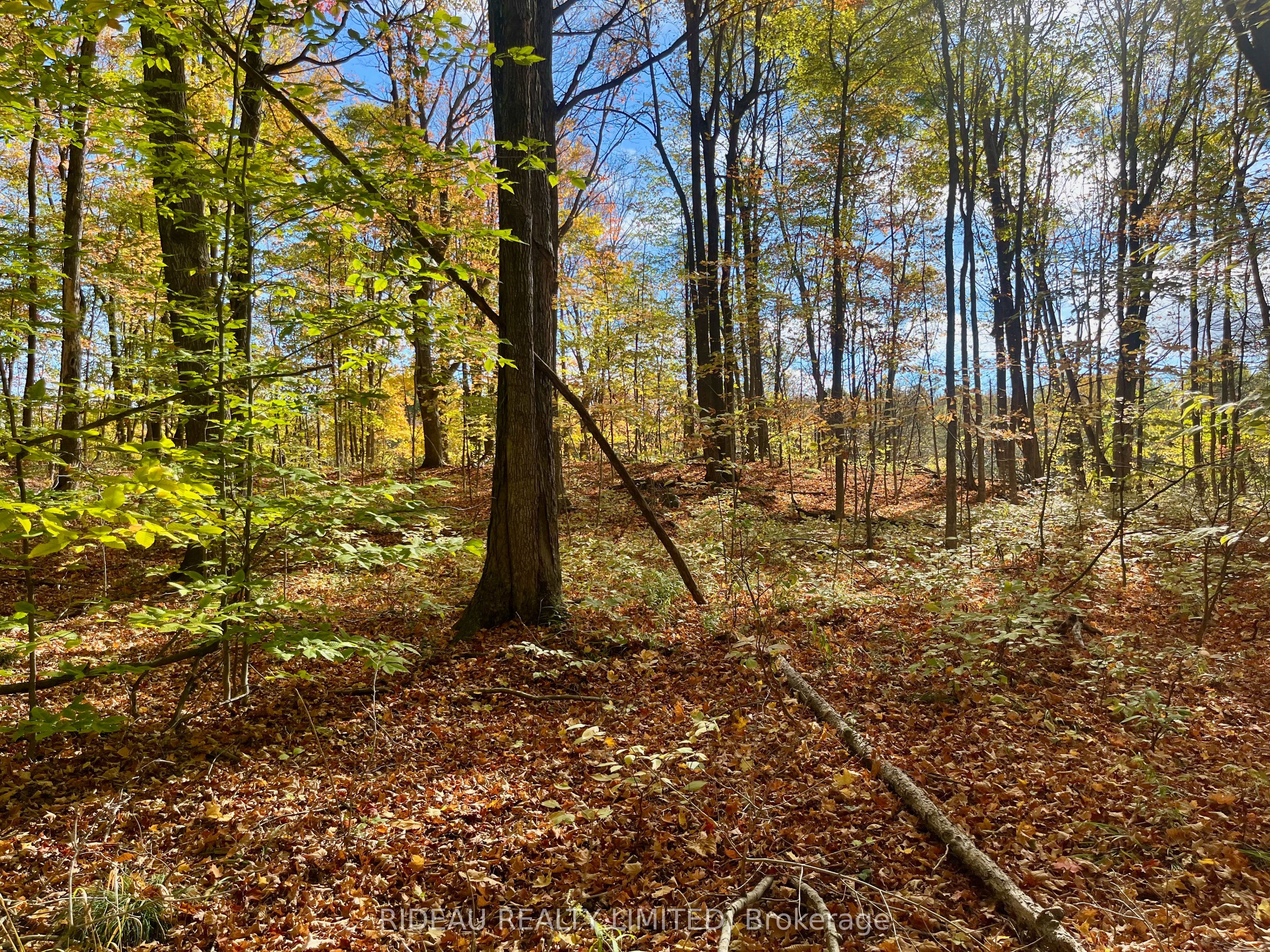 PT 38 Cedar Sands Road, Rideau Lakes, ON K0E 1N0 photo 5