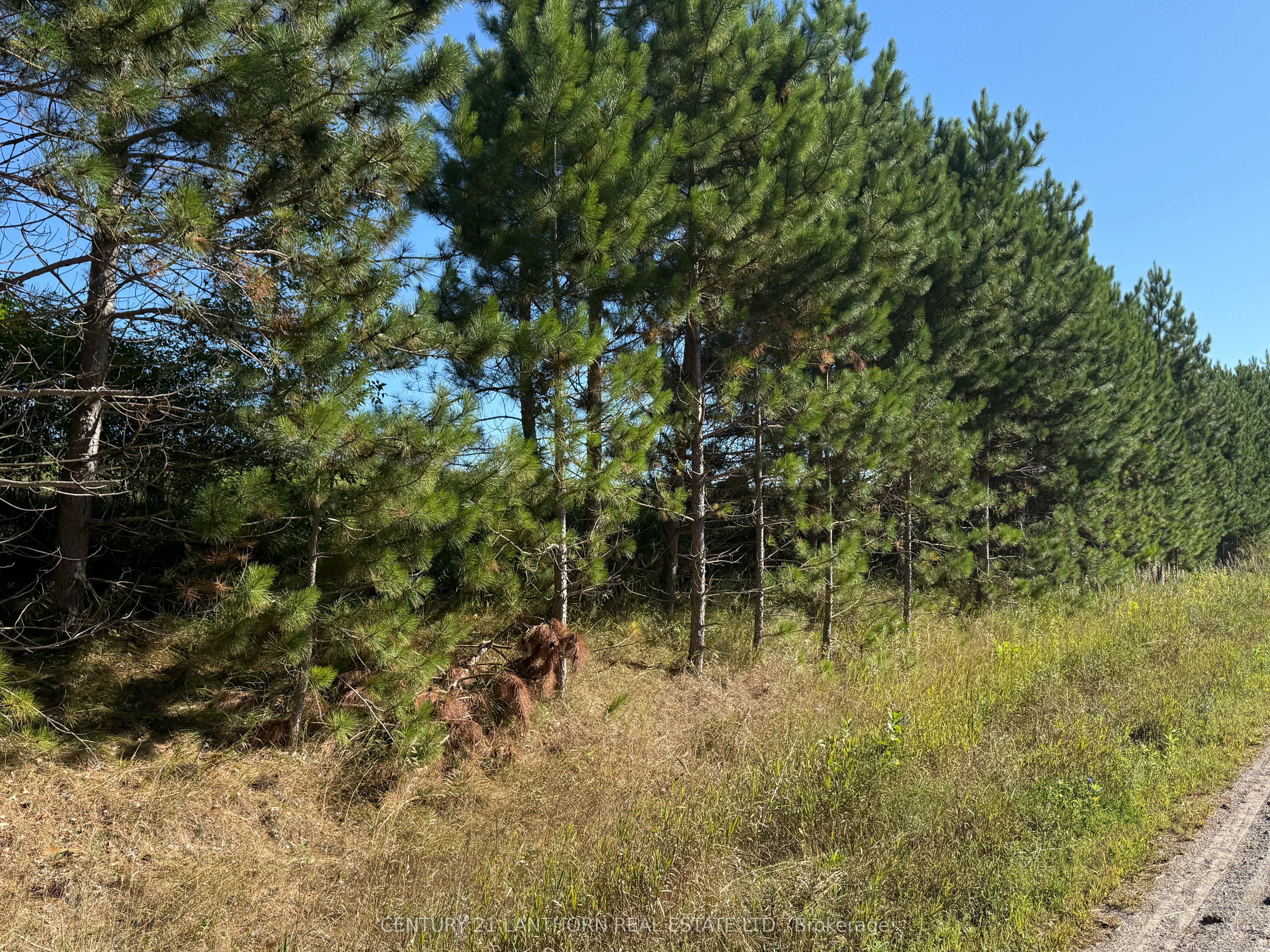 0 Deloro Road, Madoc, ON K0K 2K0 photo 2