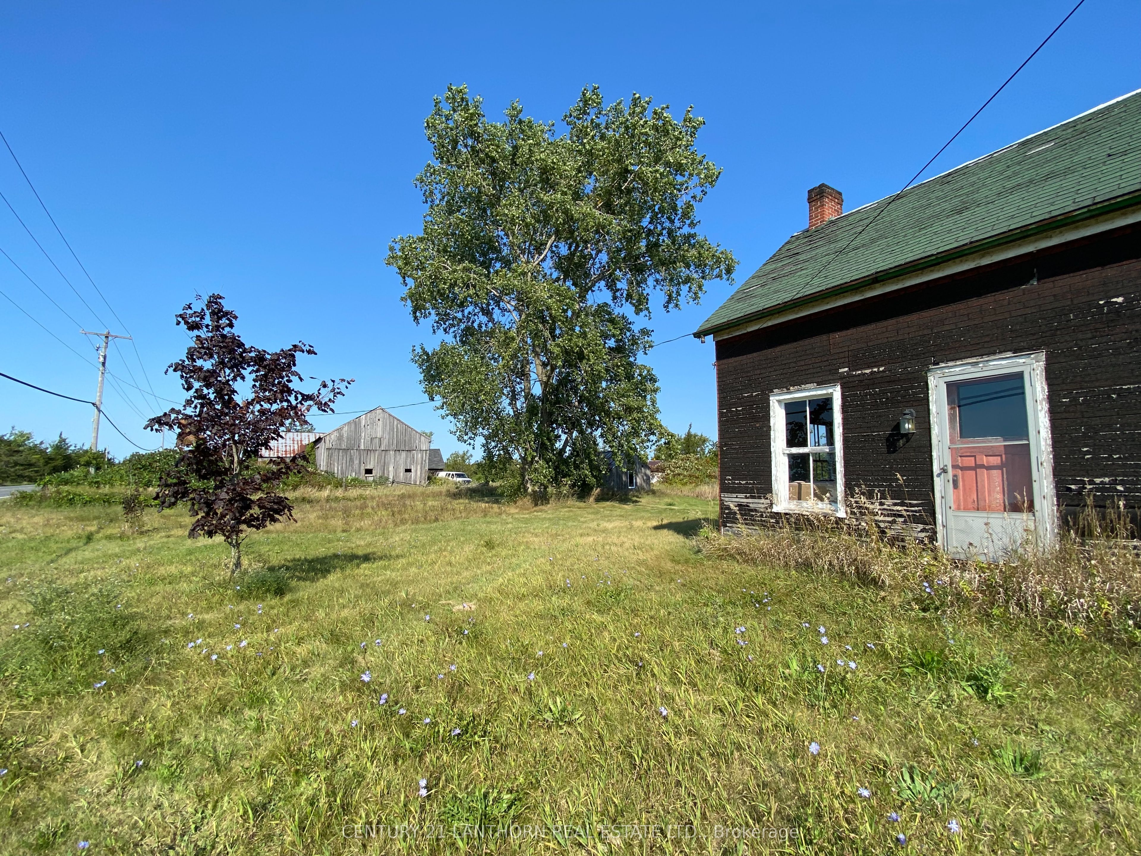 1677 County 8 Road, Prince Edward County, ON K0K 2T0 photo 4