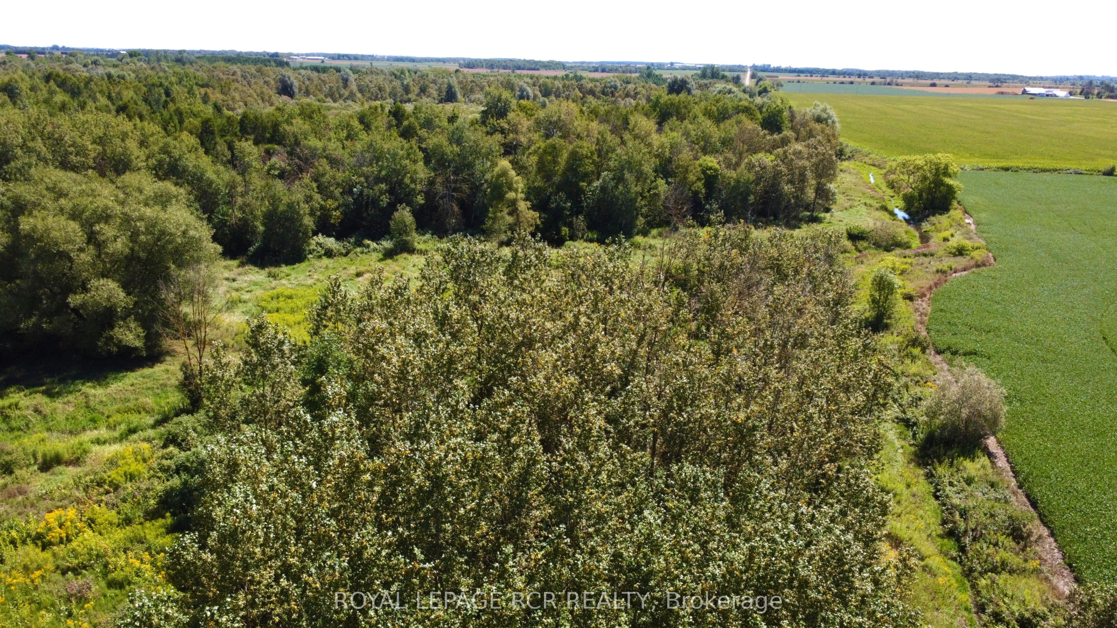 LT26&27 Wellington Rd 109 N, Wellington North, ON N0G 1A0 photo 4
