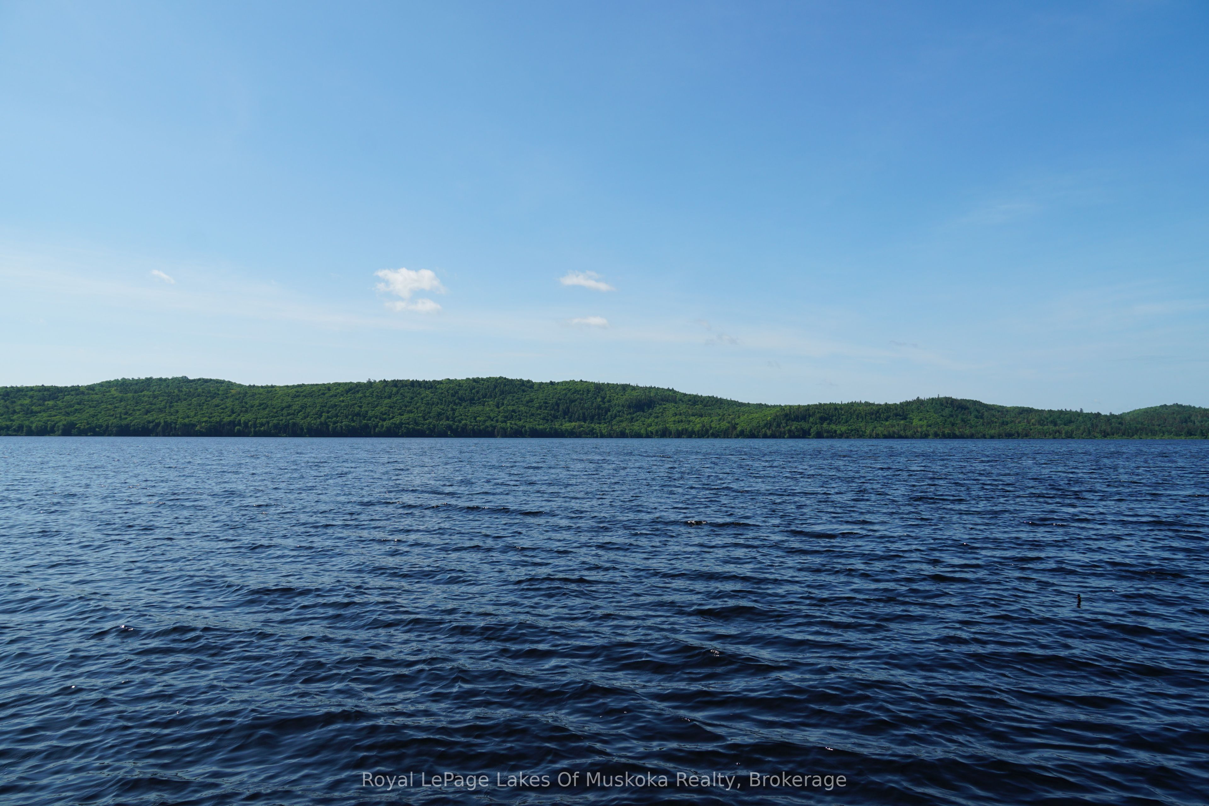 1173 Highway 60 N/A, South Algonquin, ON P1H 2G9 photo 5