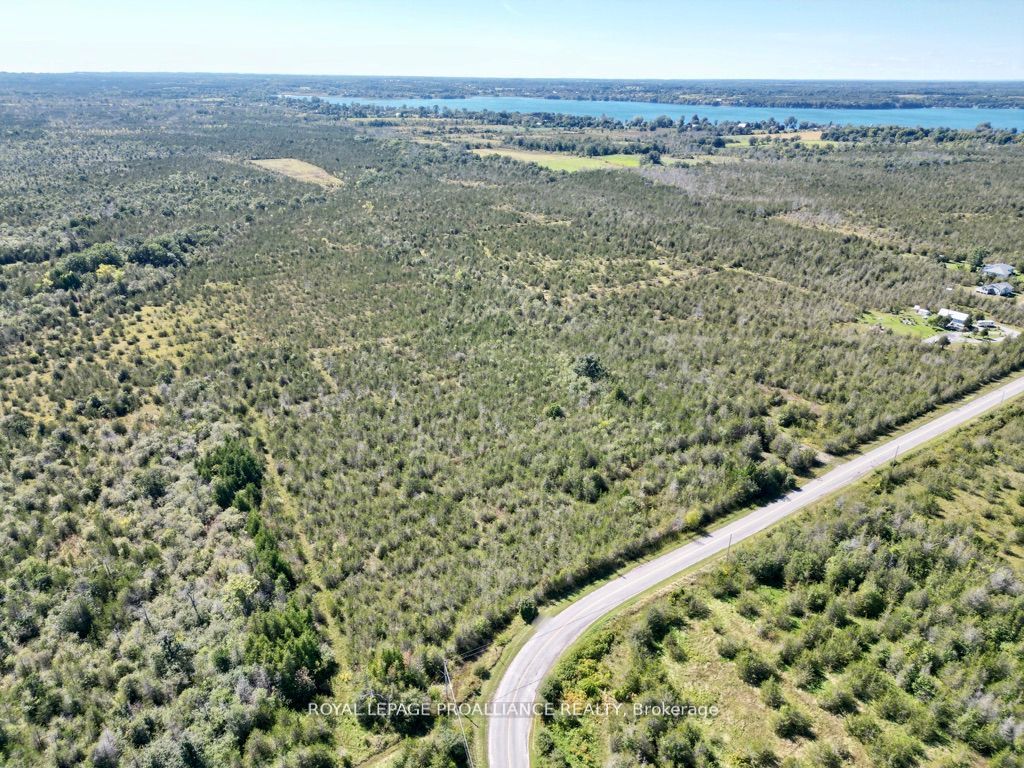 3526 County Road 13 Road, Prince Edward County, ON K0K 2T0 photo 4