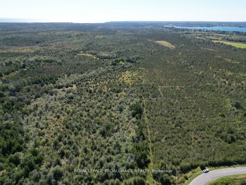 3526 County Road 13 Road, Prince Edward County, ON K0K 2T0 photo 5